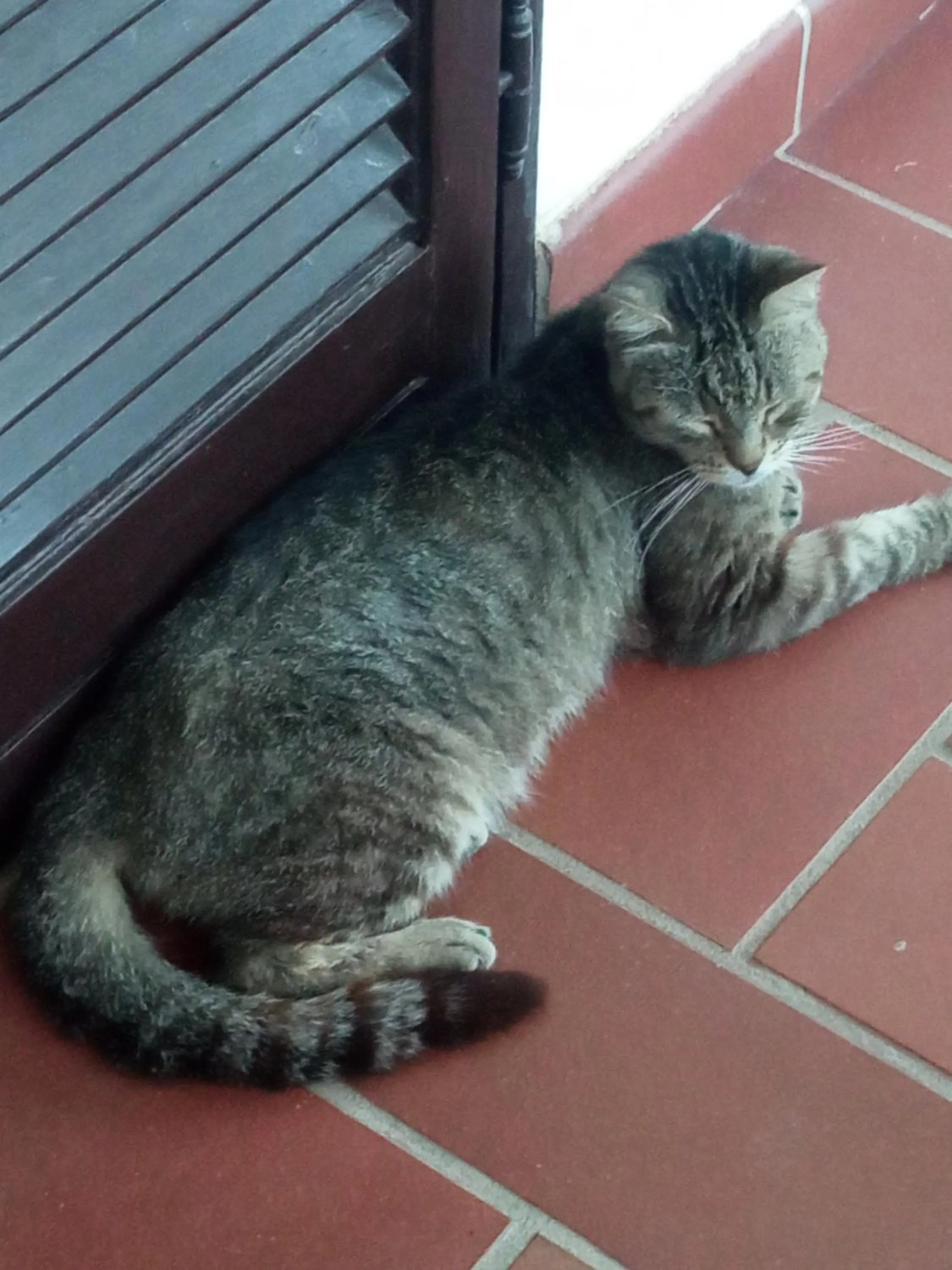 Alchimia tra suoni e colori