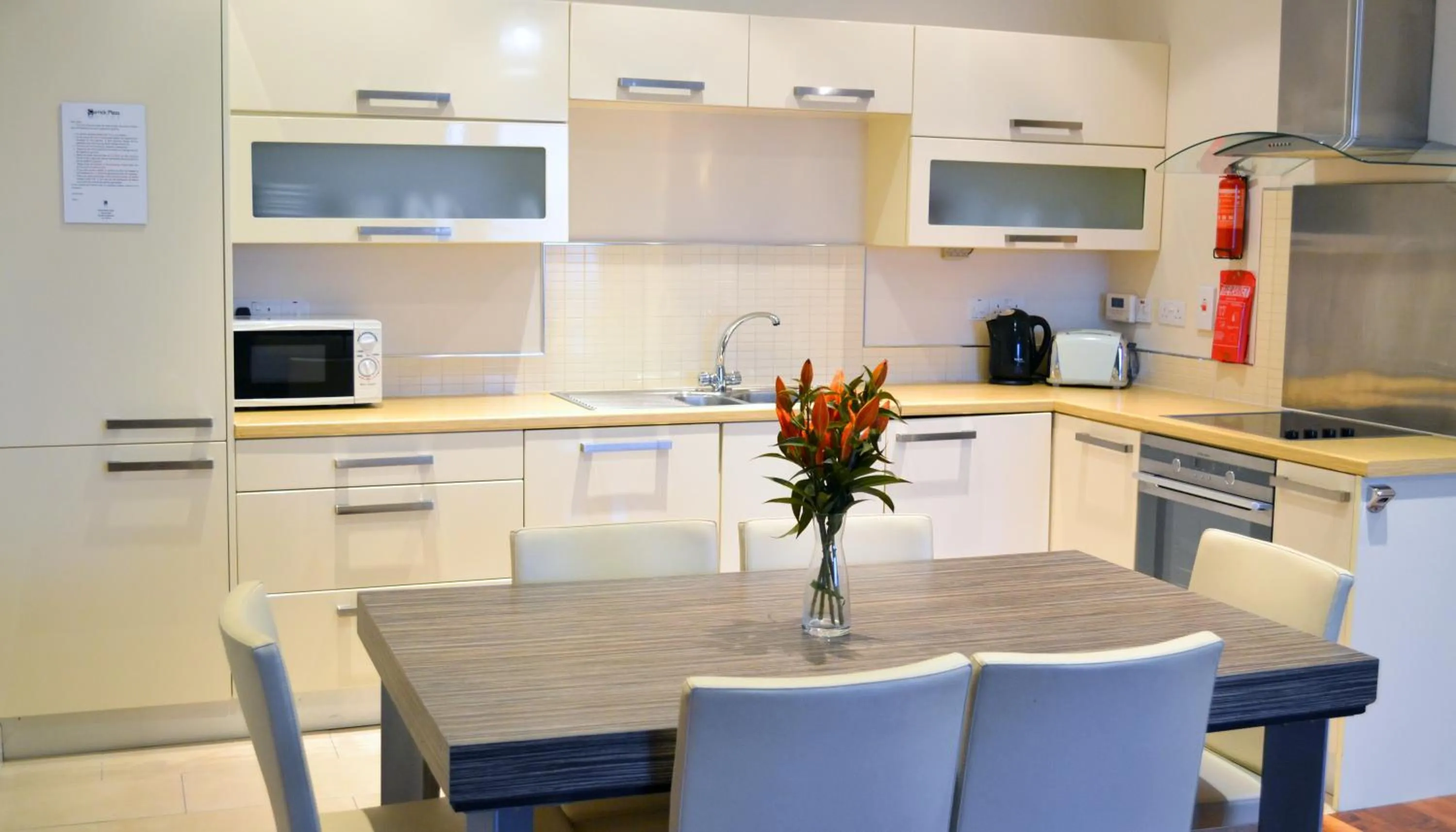 Kitchen or kitchenette in Carrick Plaza Suites and Apartments