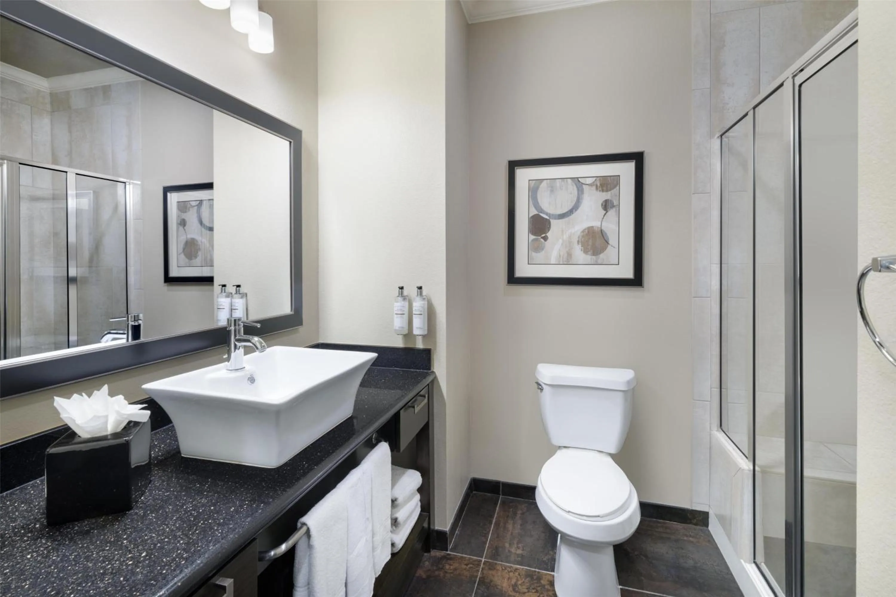 Bathroom in Best Western Premier Crown Chase Inn & Suites