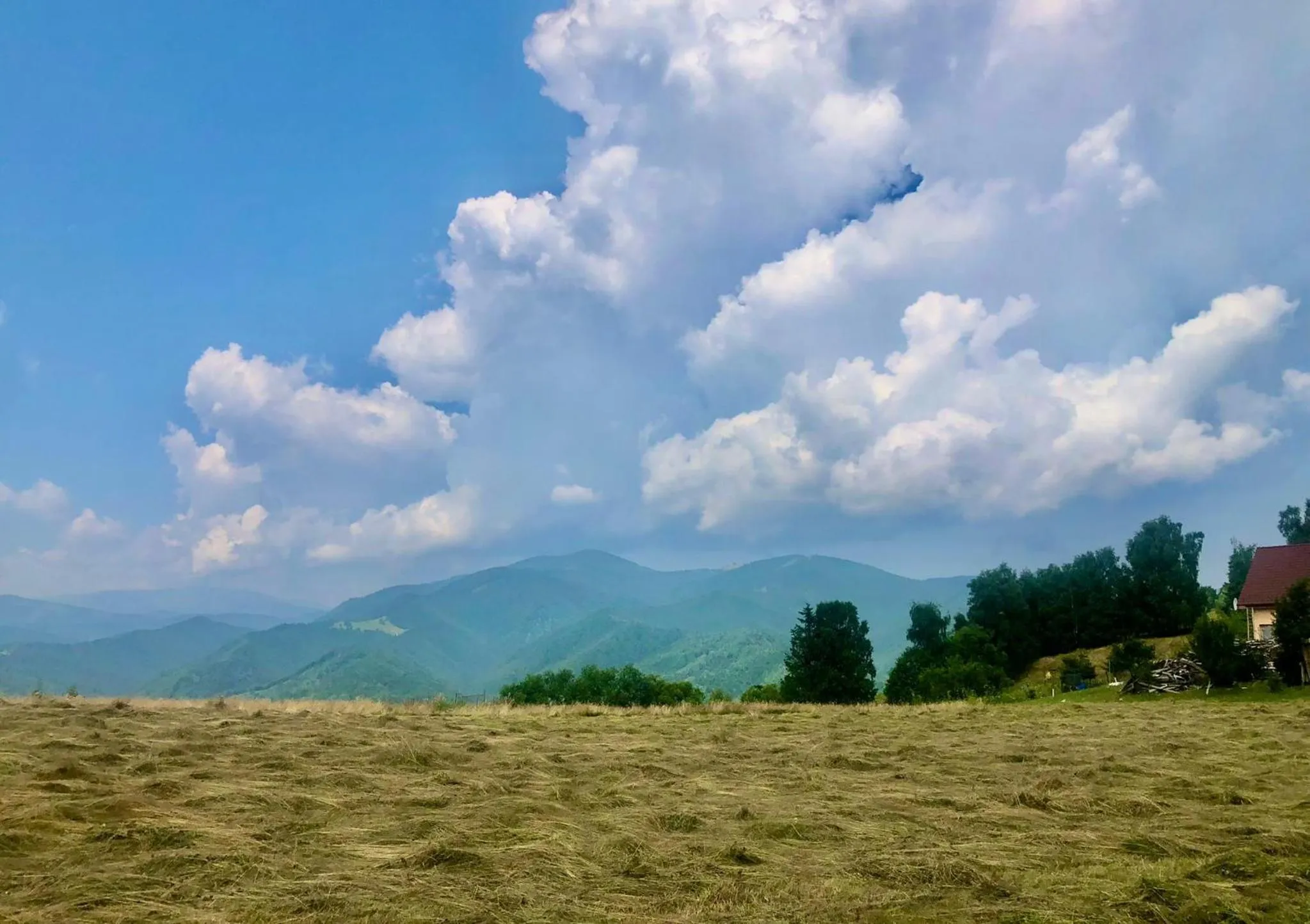 View (from property/room) in Pensiunea Poiana Viselor