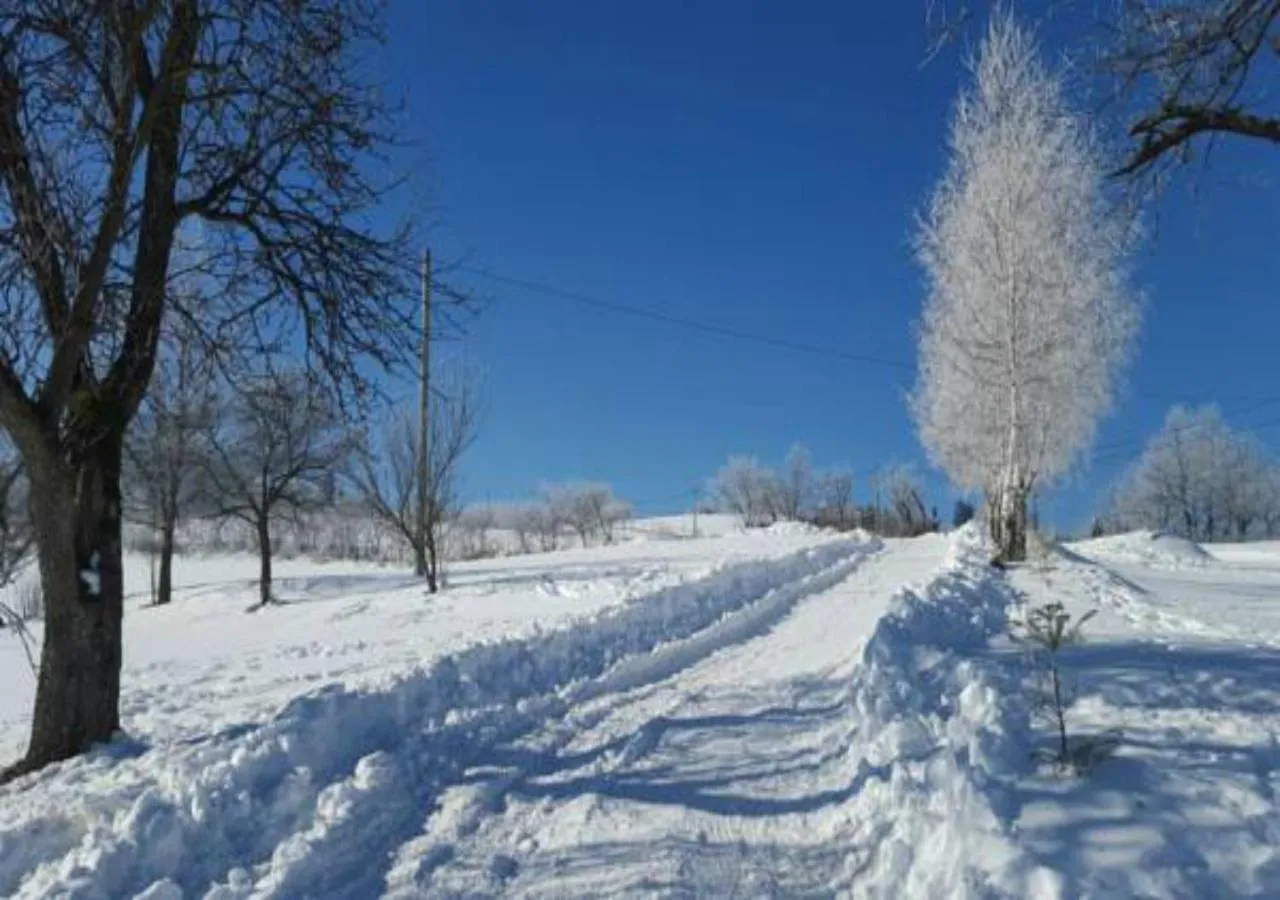 Neighbourhood in Pensiunea Poiana Viselor