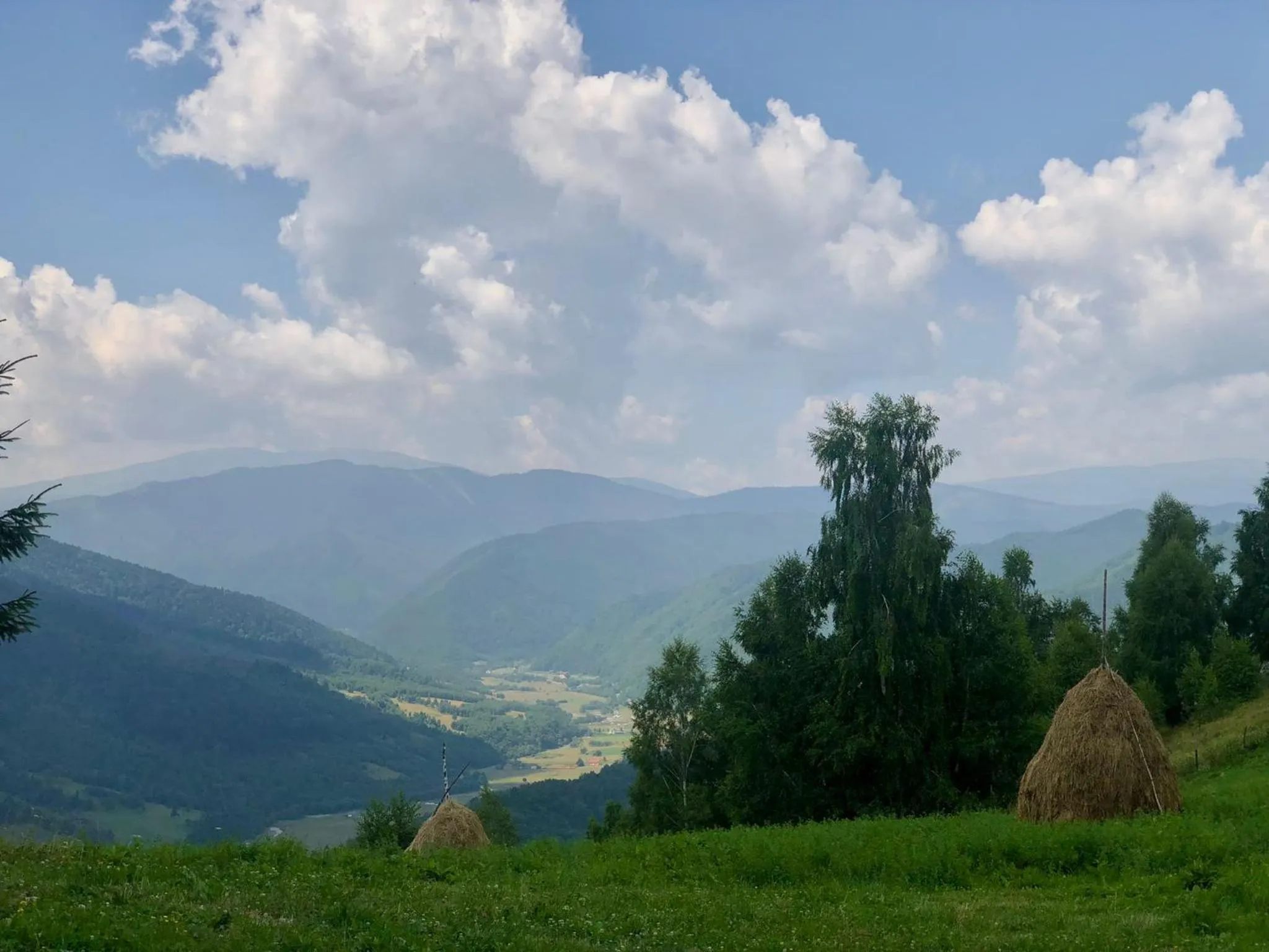 Natural landscape in Pensiunea Poiana Viselor