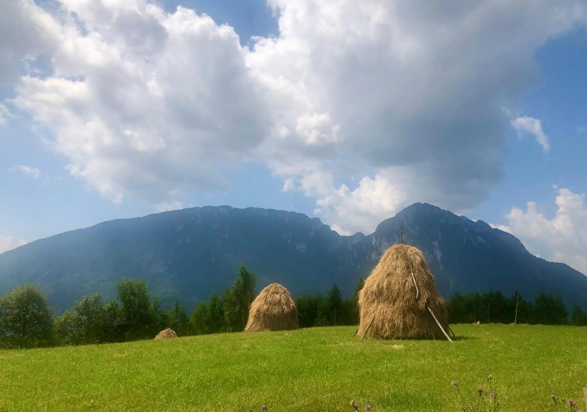 View (from property/room) in Pensiunea Poiana Viselor