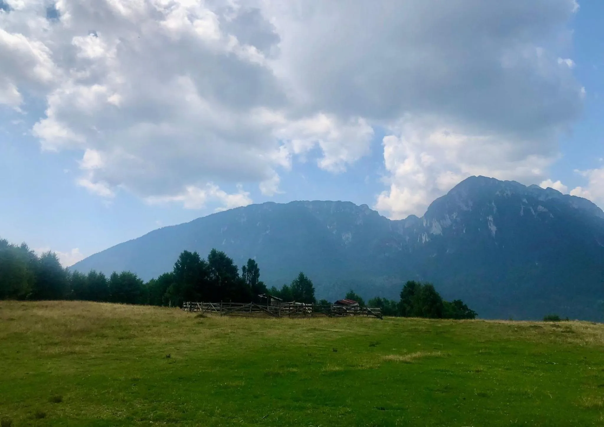 View (from property/room) in Pensiunea Poiana Viselor