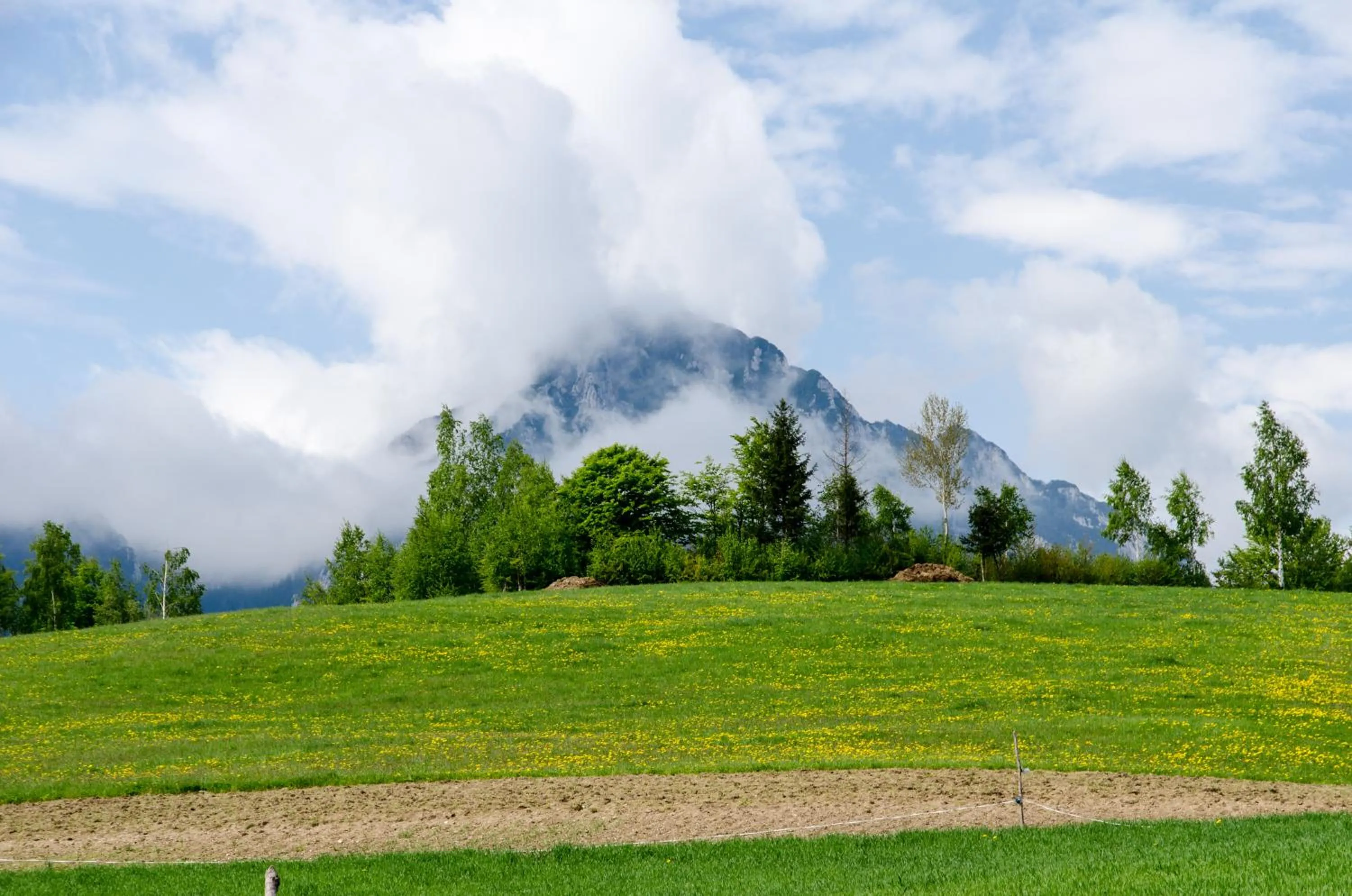 Natural landscape in Pensiunea Poiana Viselor