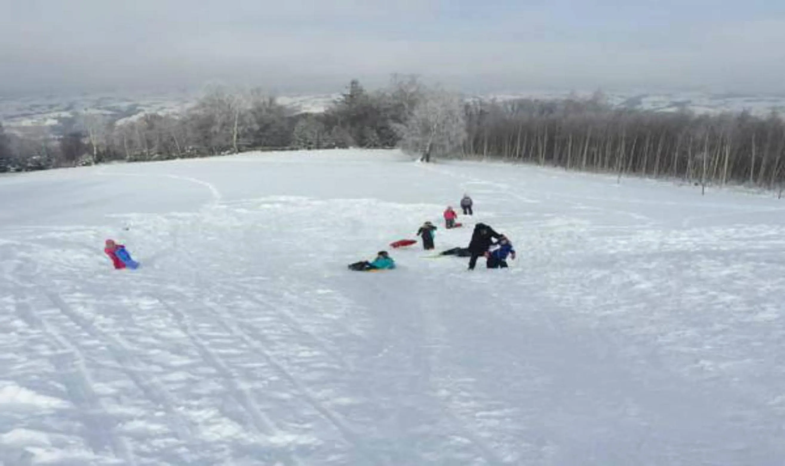 Decorative detail in Pensiunea Poiana Viselor