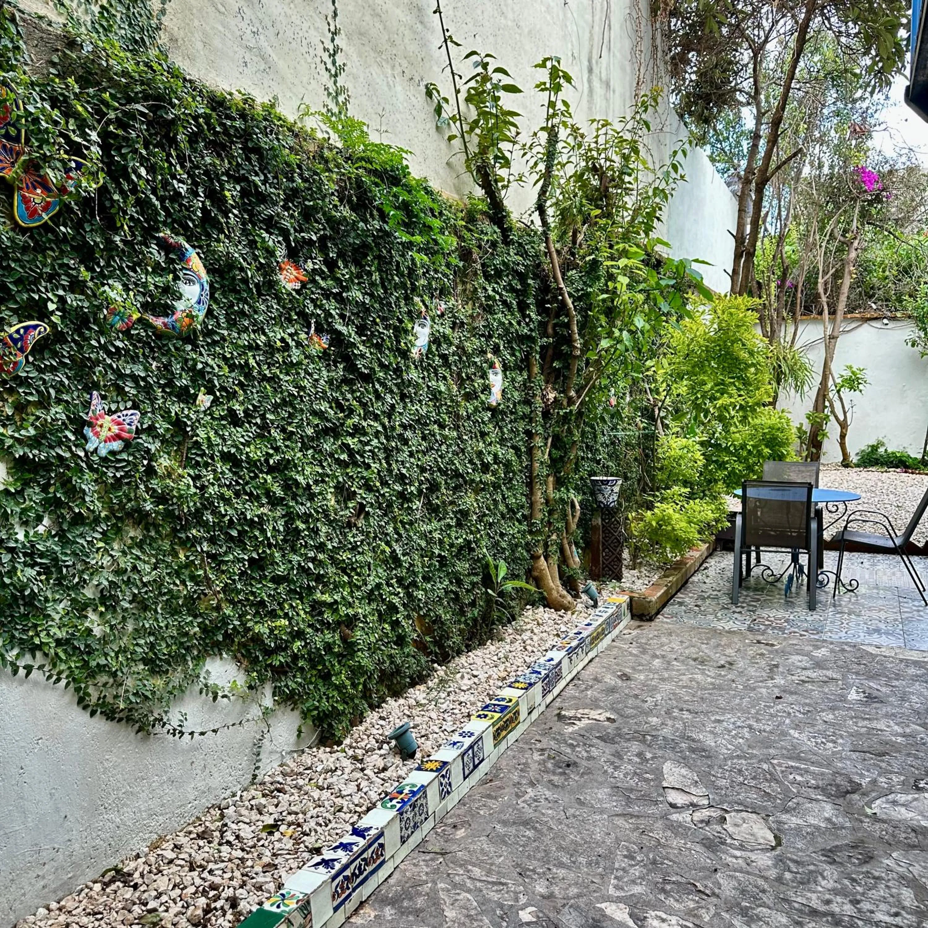 Garden in La Etelvina Suites