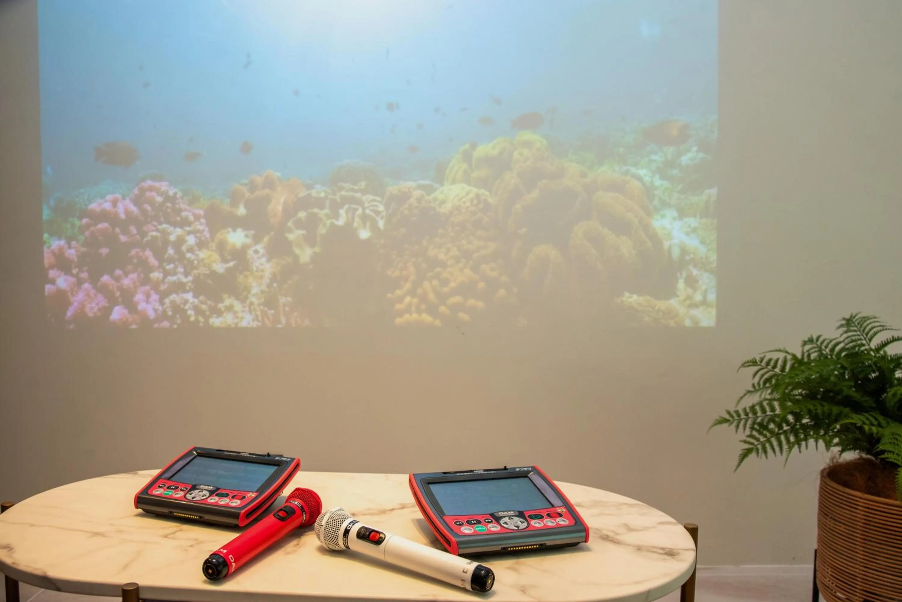 Karaoke in pool villa Sanrriott Okinawa Motobu