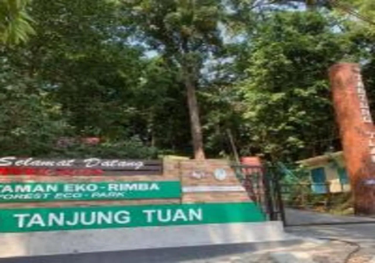 Suntai Villa, Beachfront Suites