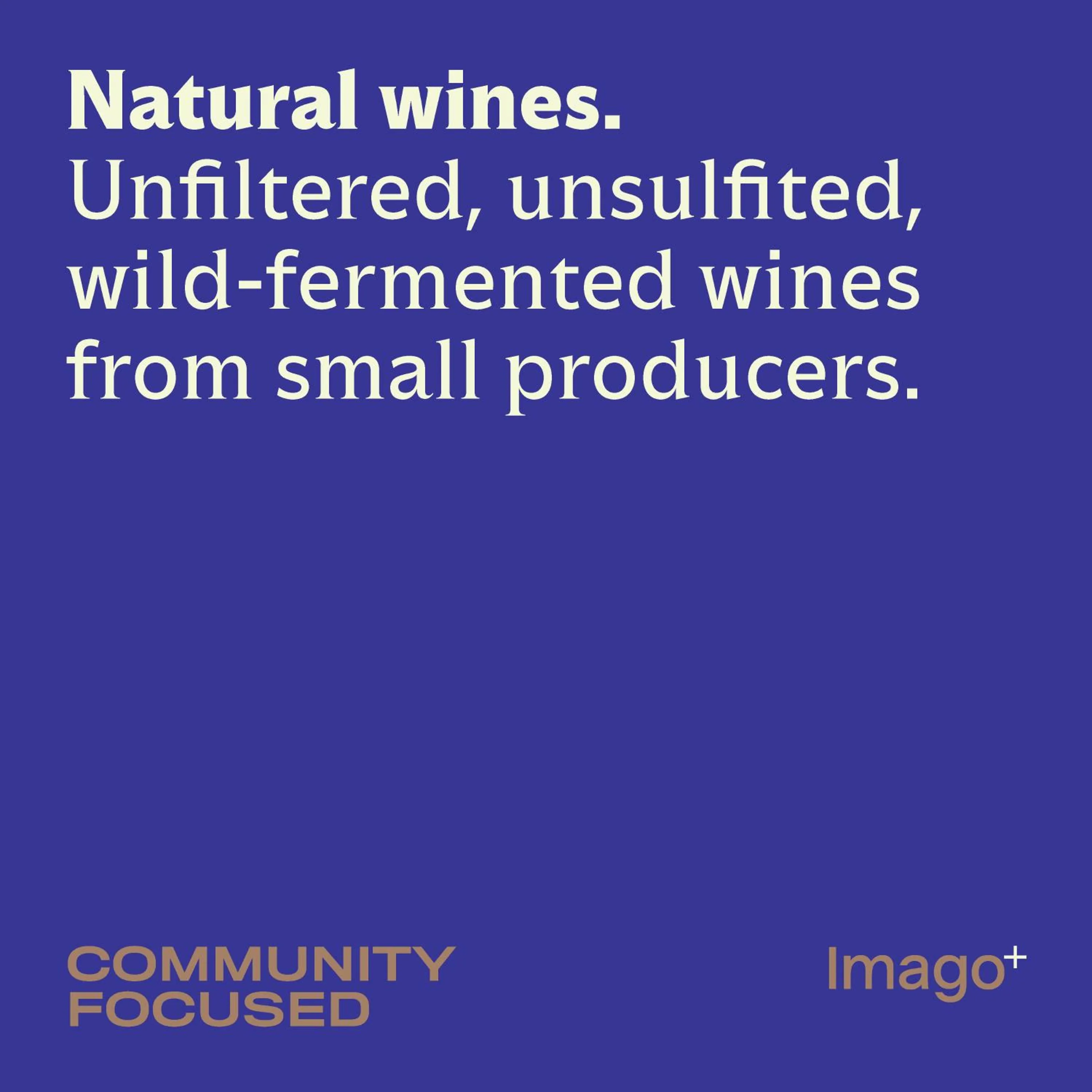 Staff in Imago Plus Hotel