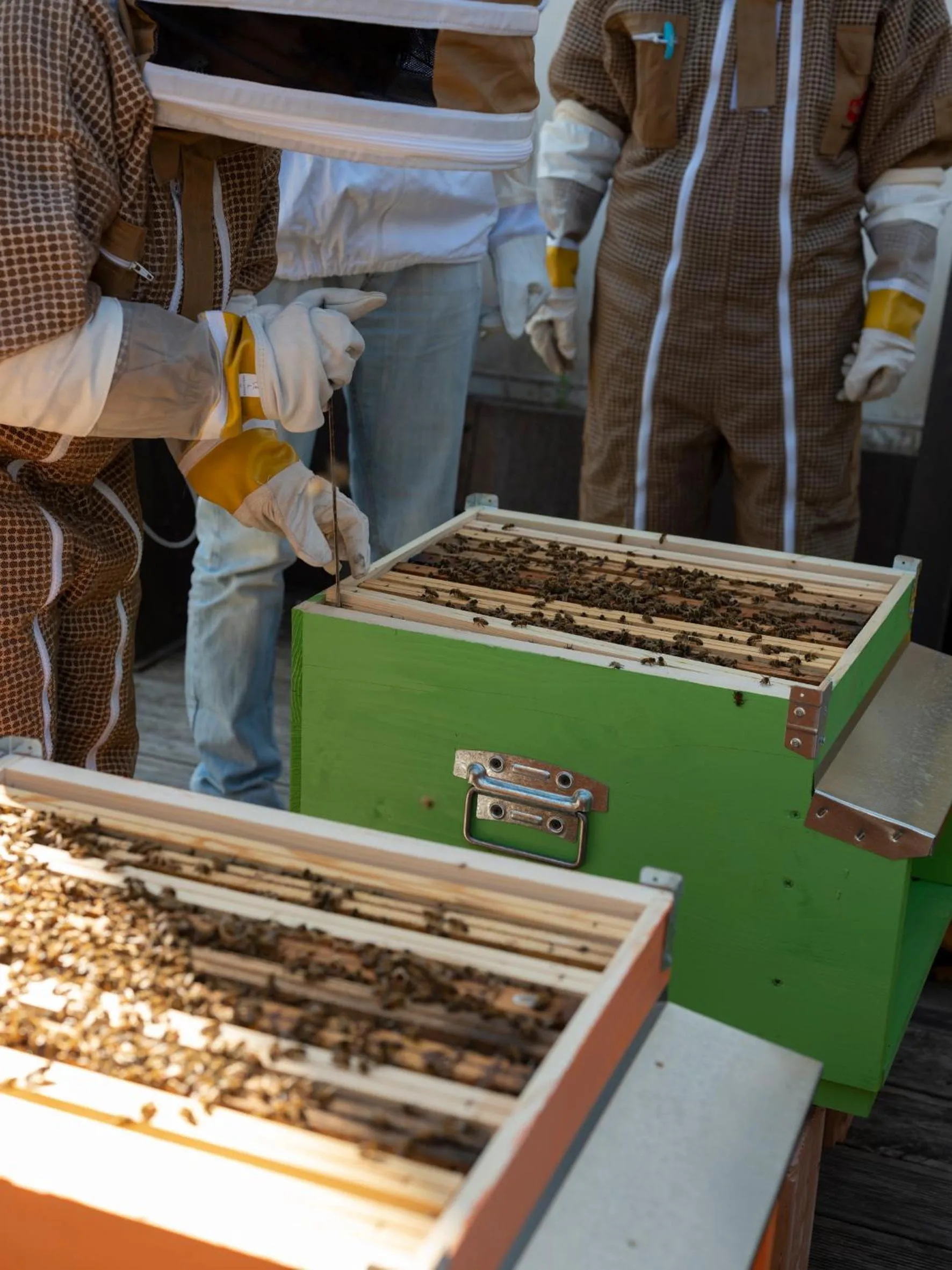 Activities in Imago Plus Hotel