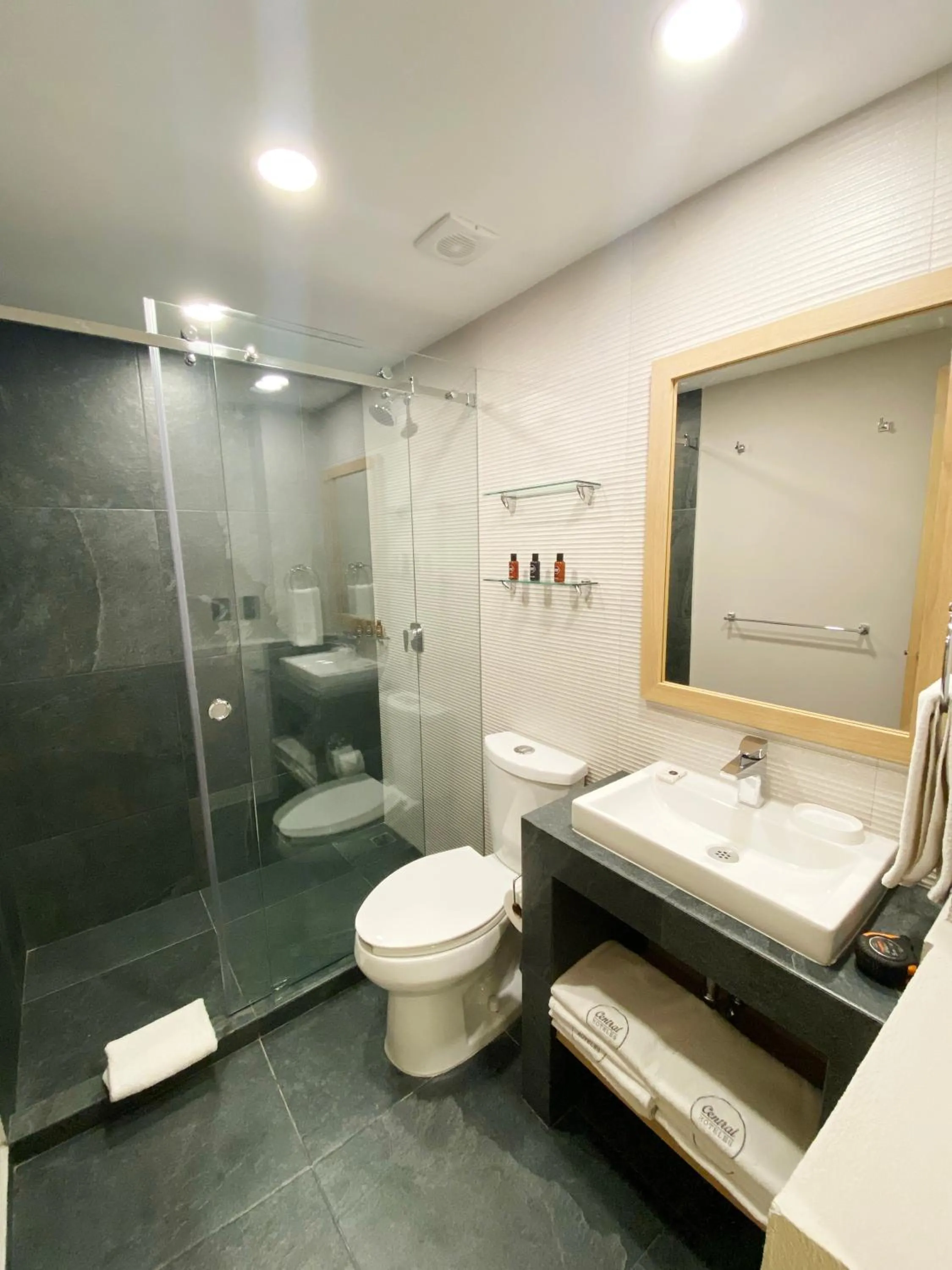 Bathroom in Canada Central & Rooftop