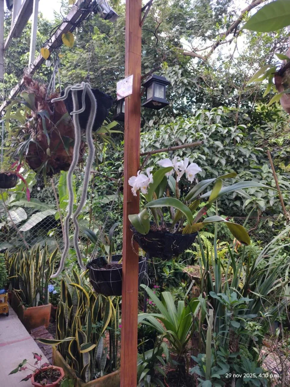 Natural landscape in Eclipse Villavicencio