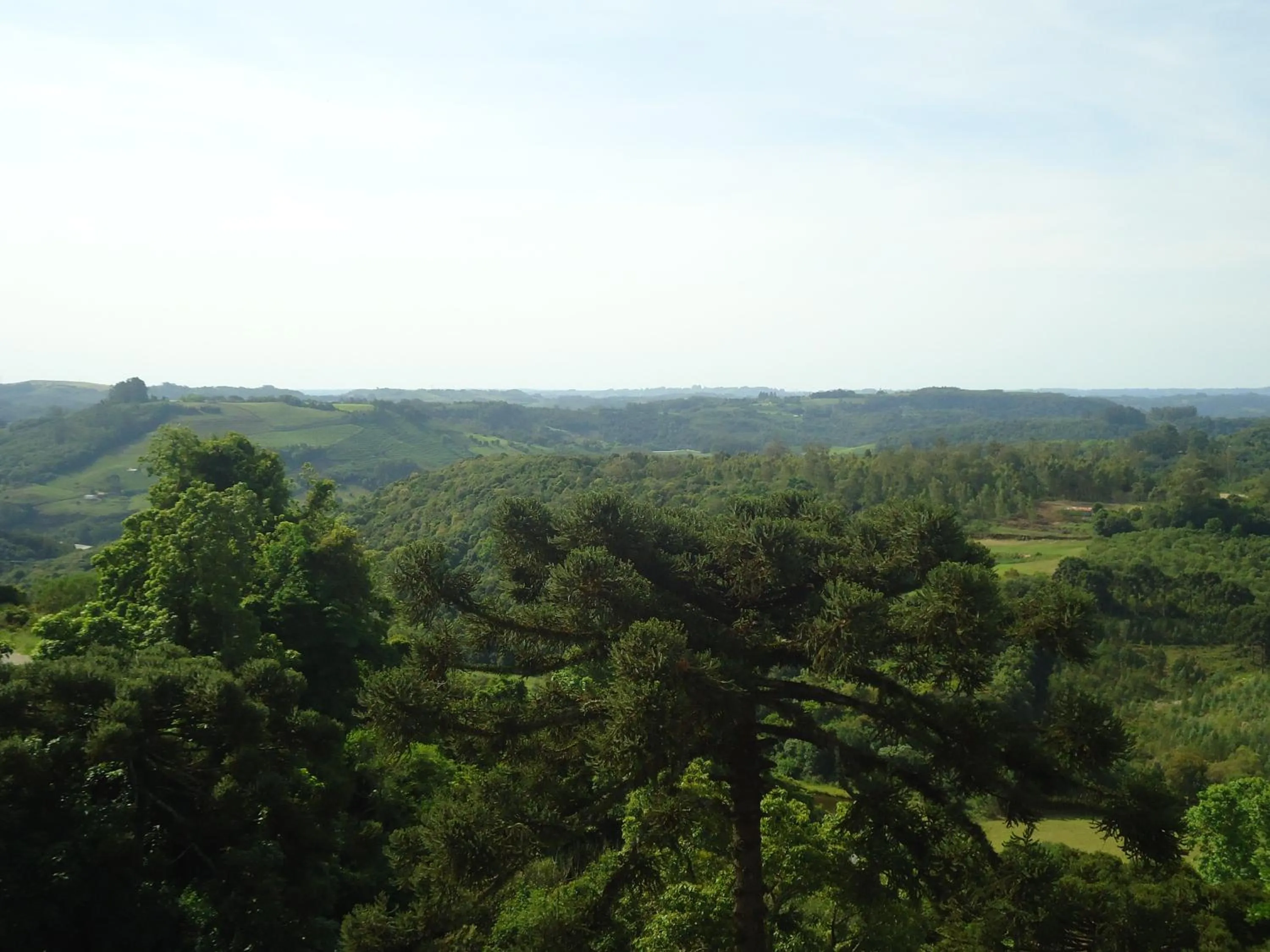 View (from property/room) in Hotel Bemtevi
