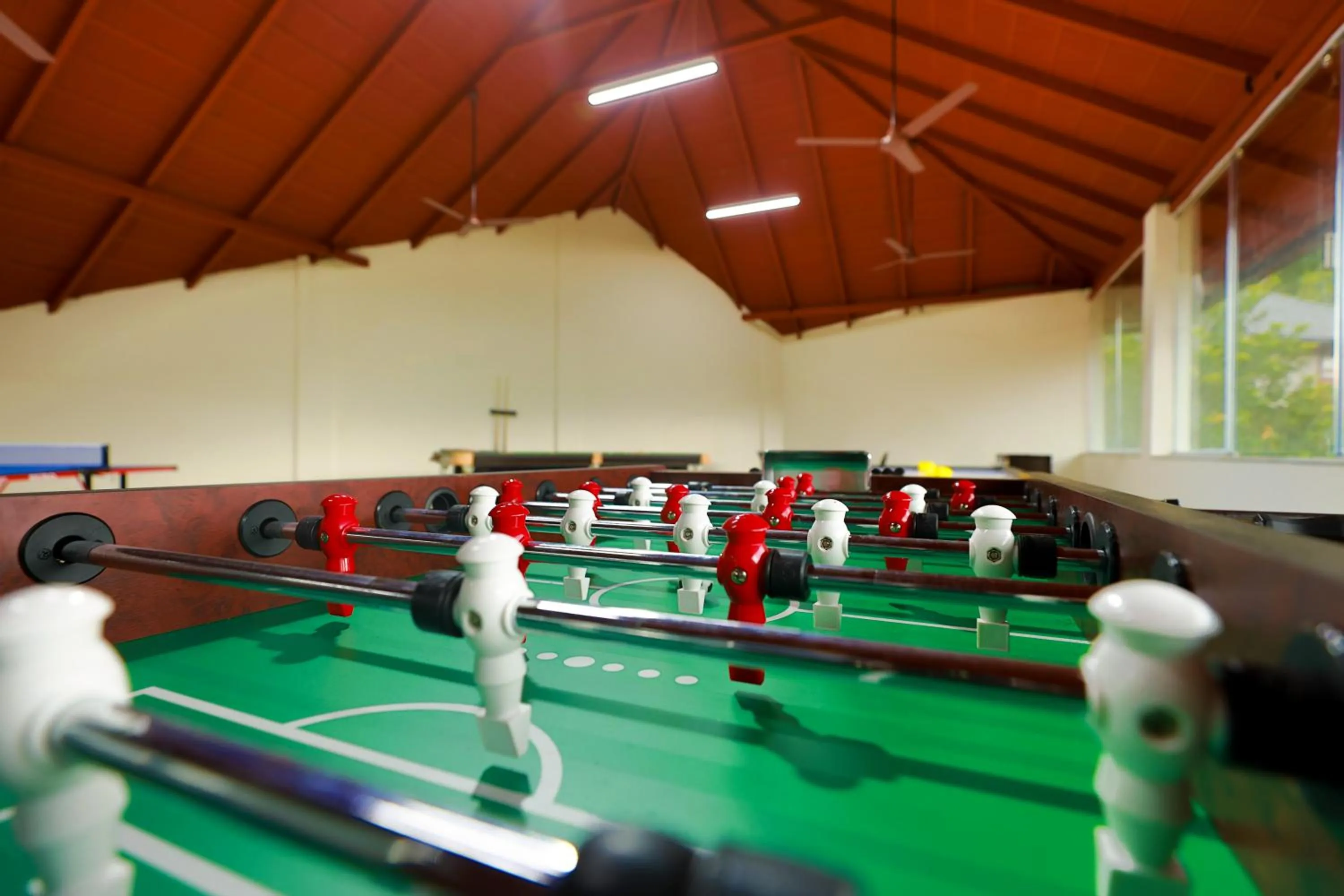 Game Room in Silent Brook Resort - Coorg