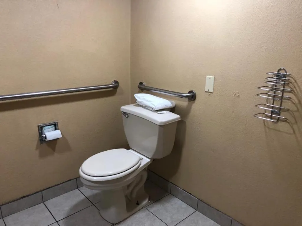 Toilet in Stockbridge Inn