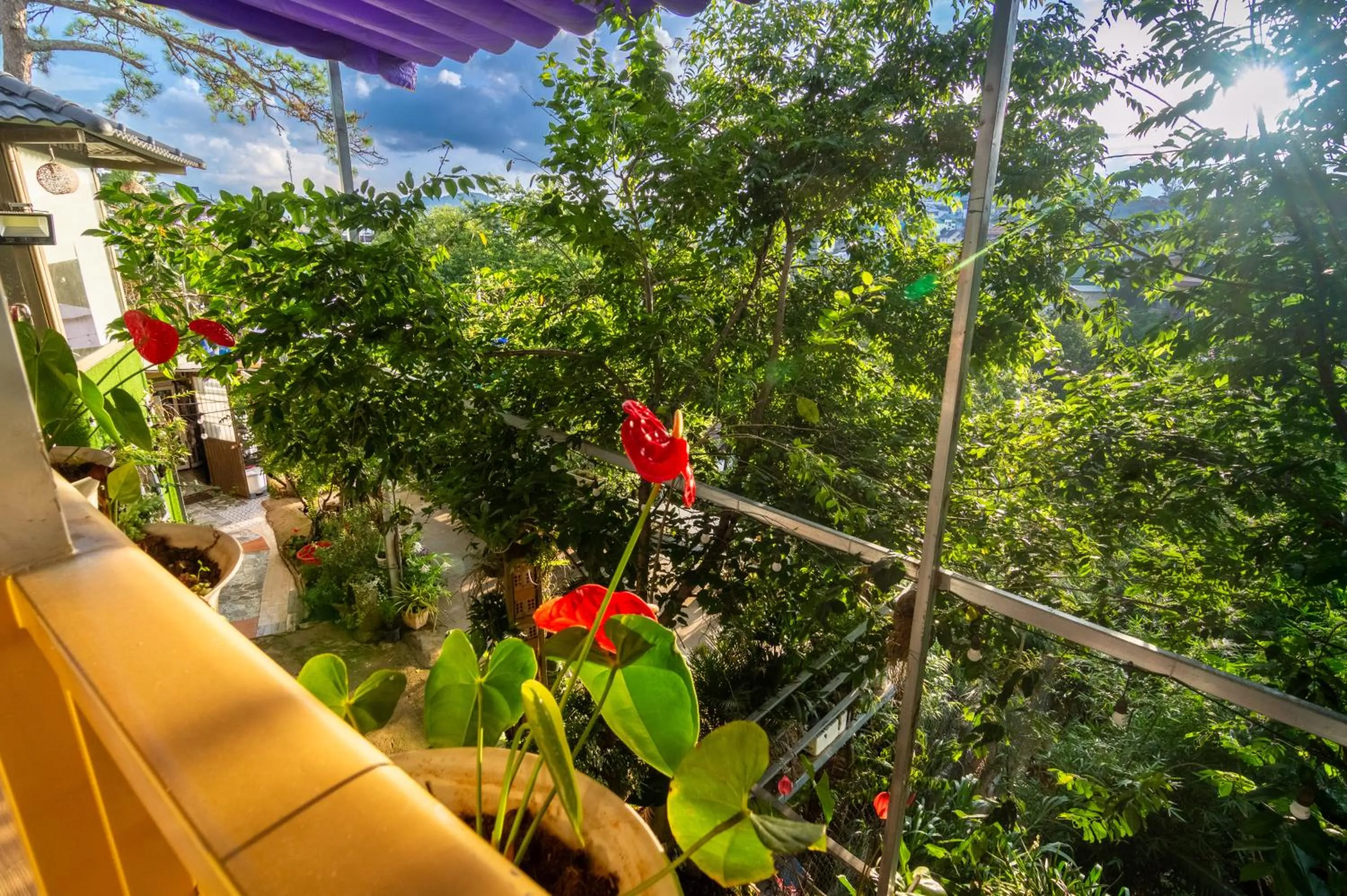 Property building in Robins Guesthouse