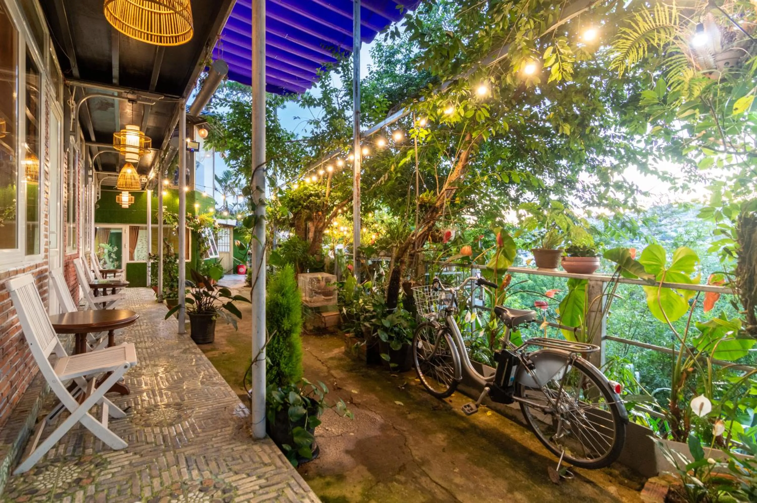 Garden in Robins Guesthouse