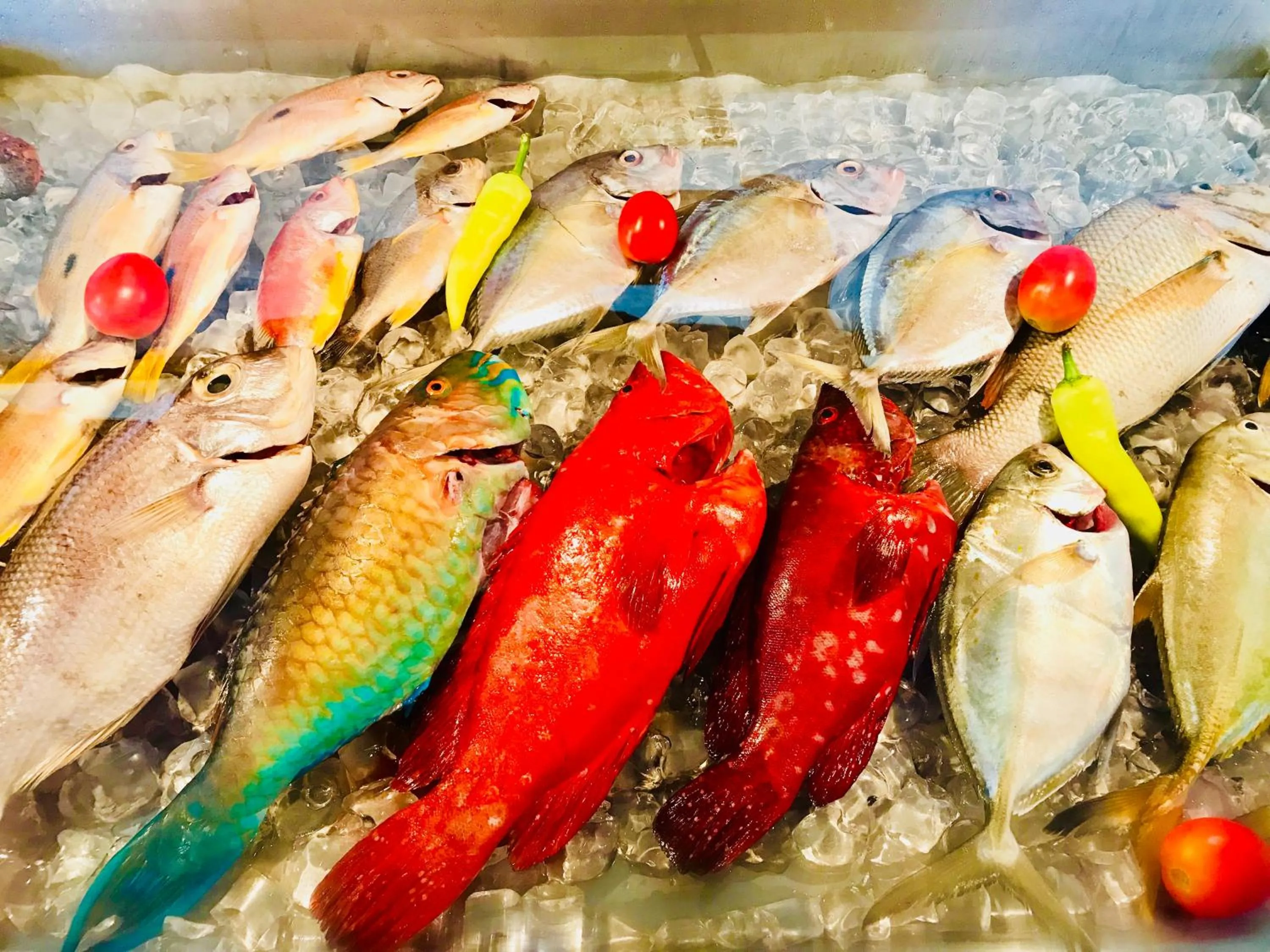 Food in Hotel Sea Line