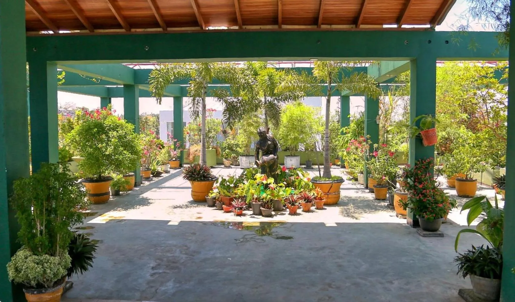 Garden in Hotel Sea Line