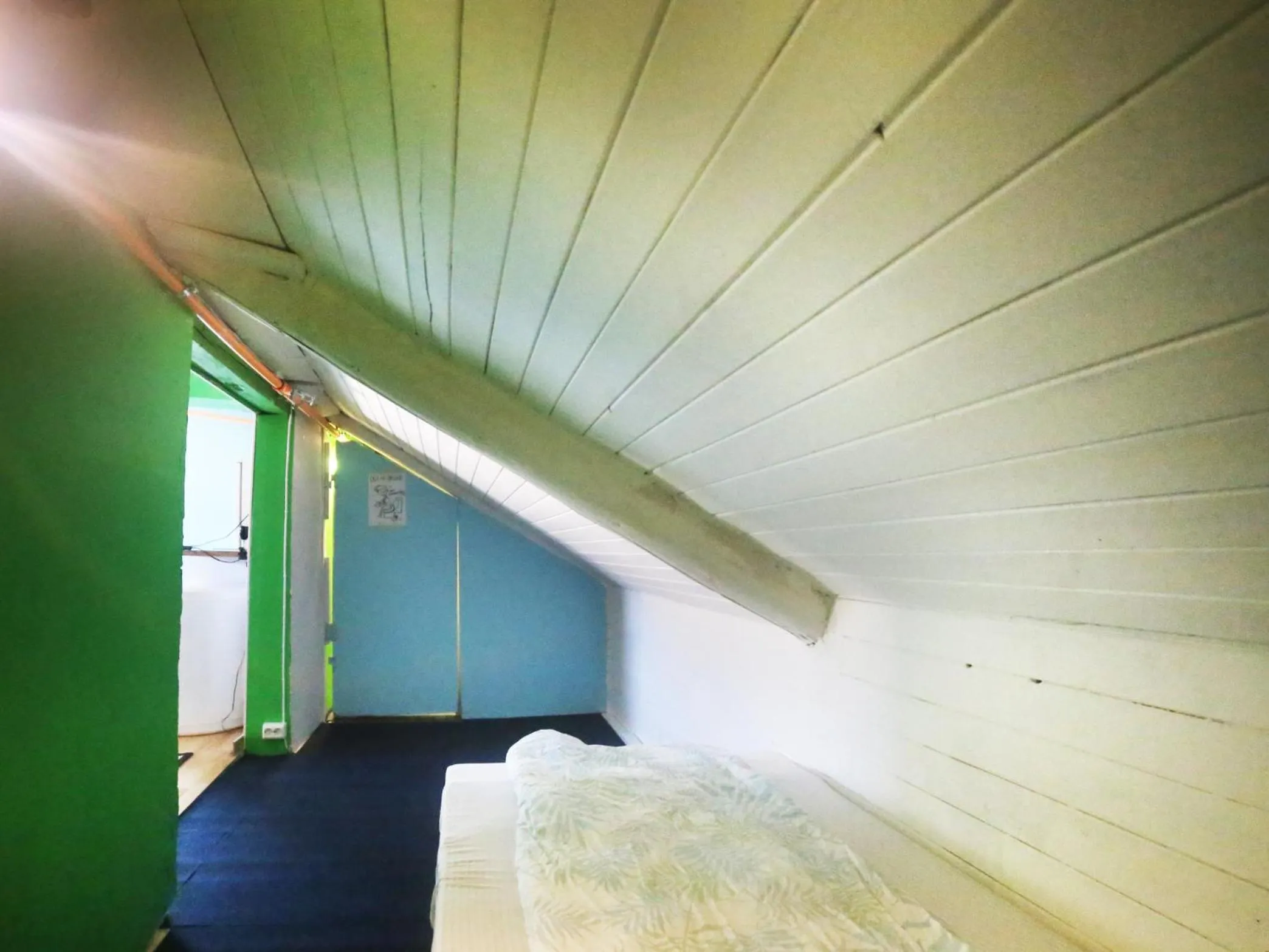 Bed in Tromso Activities Hostel