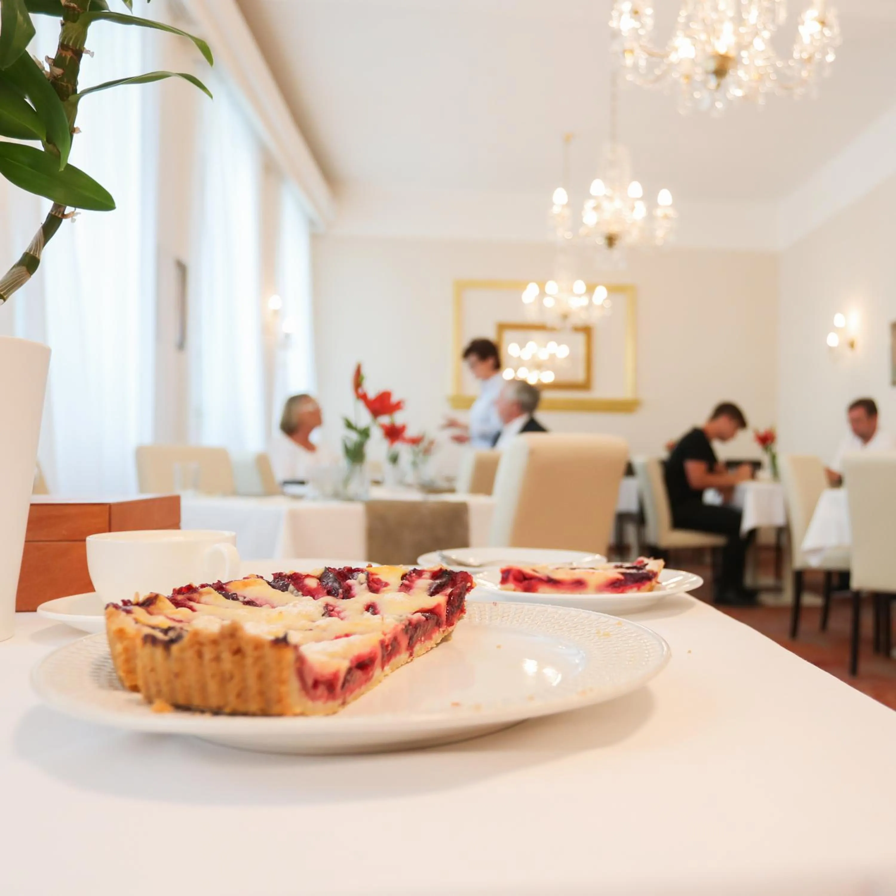 Area and facilities in Hotel KOZÁK