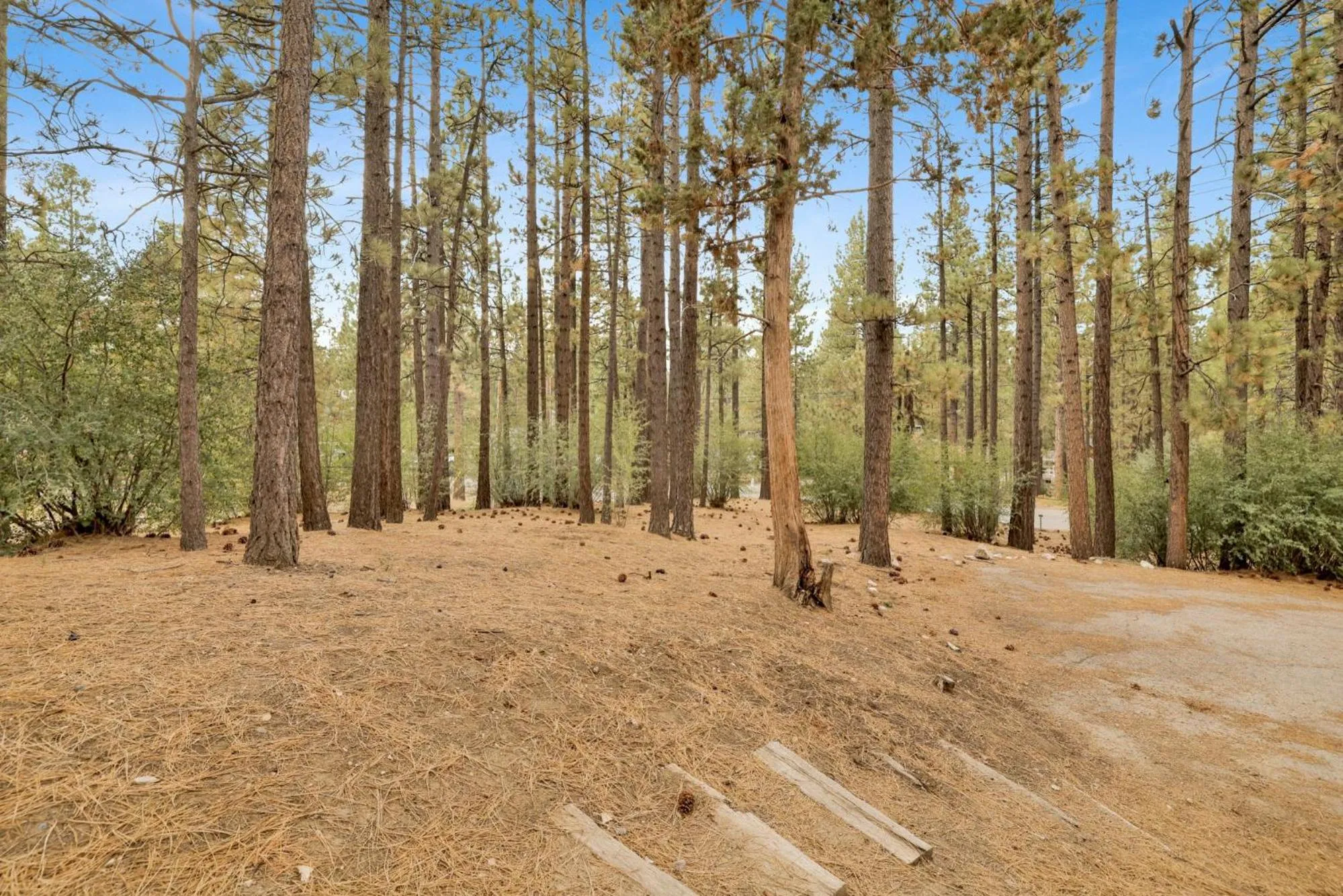 Living Log Cabin#1494