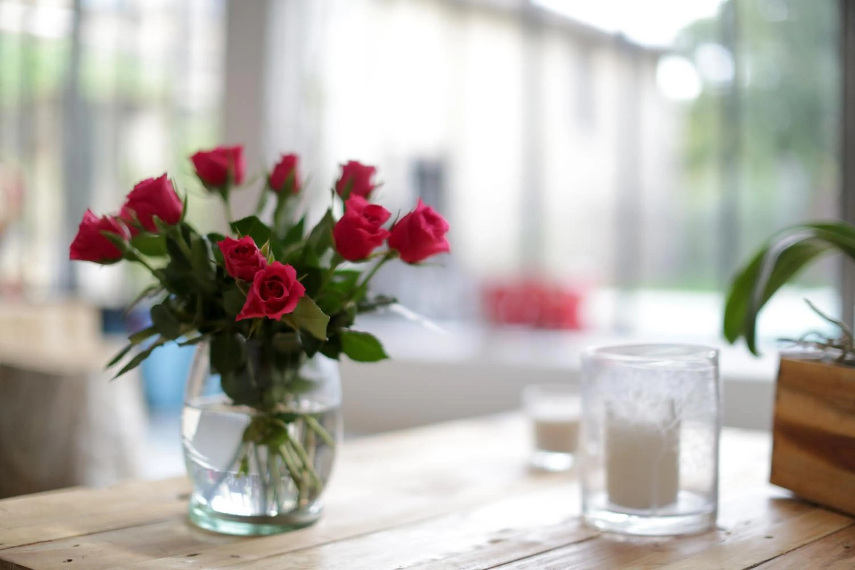 Lounge or bar in DODO etc