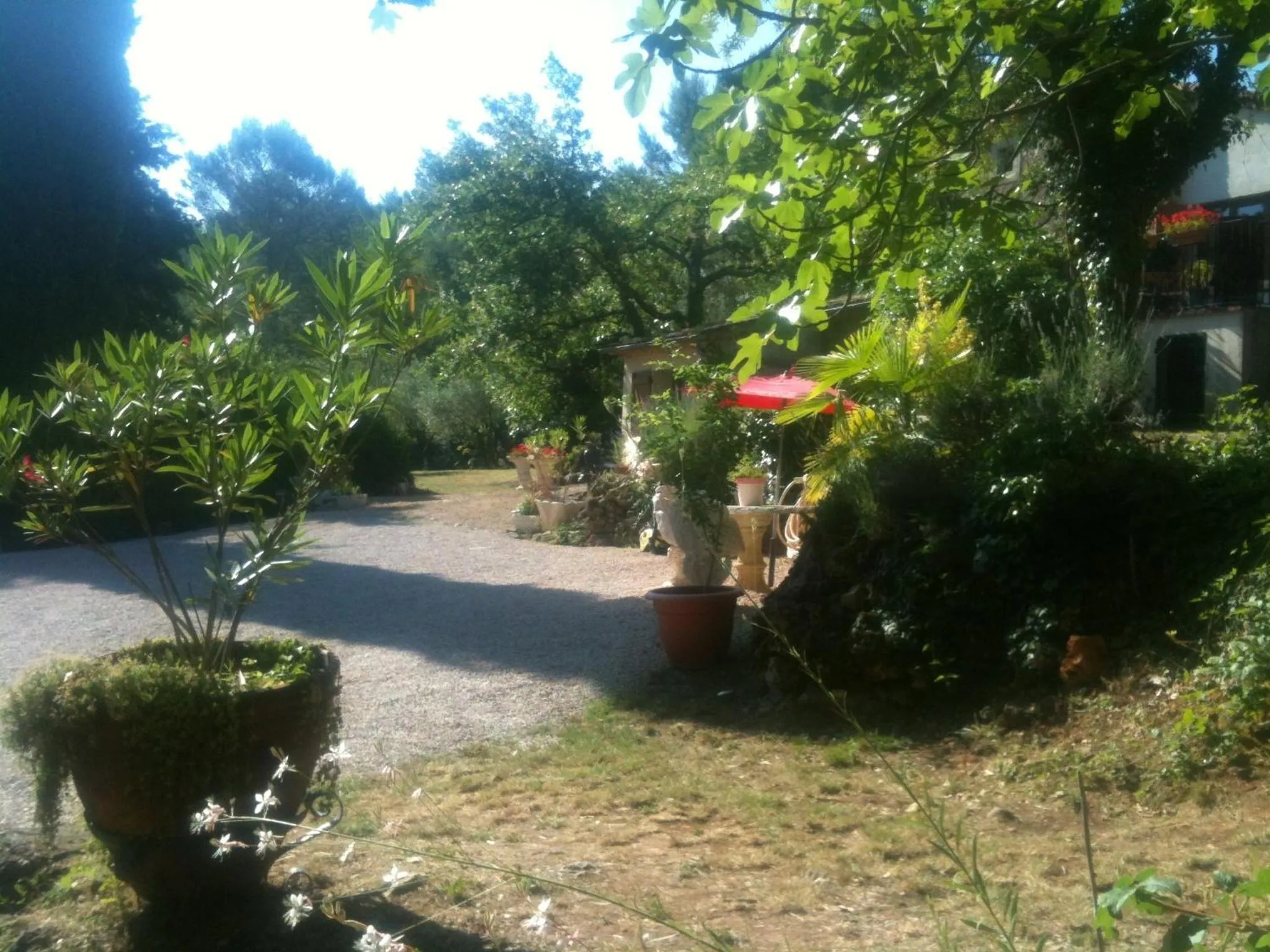 Garden in Mas De Peycavier