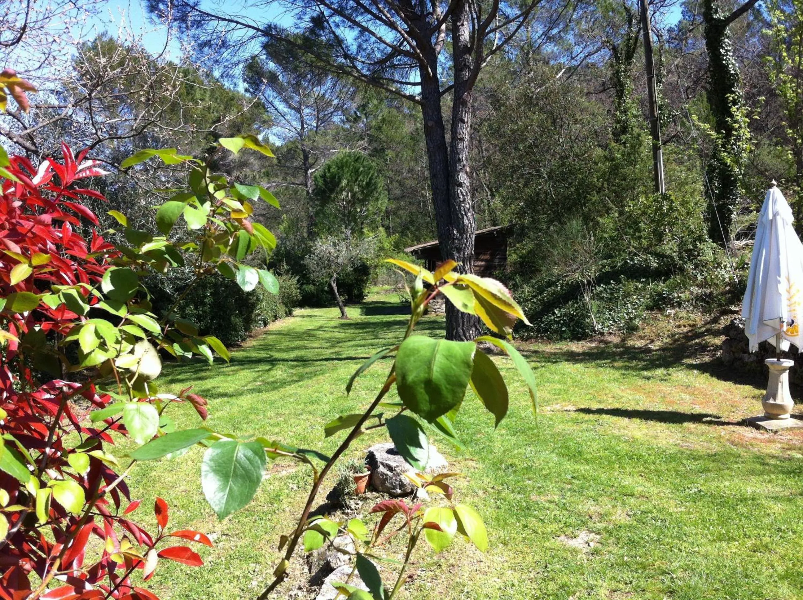 Garden in Mas De Peycavier