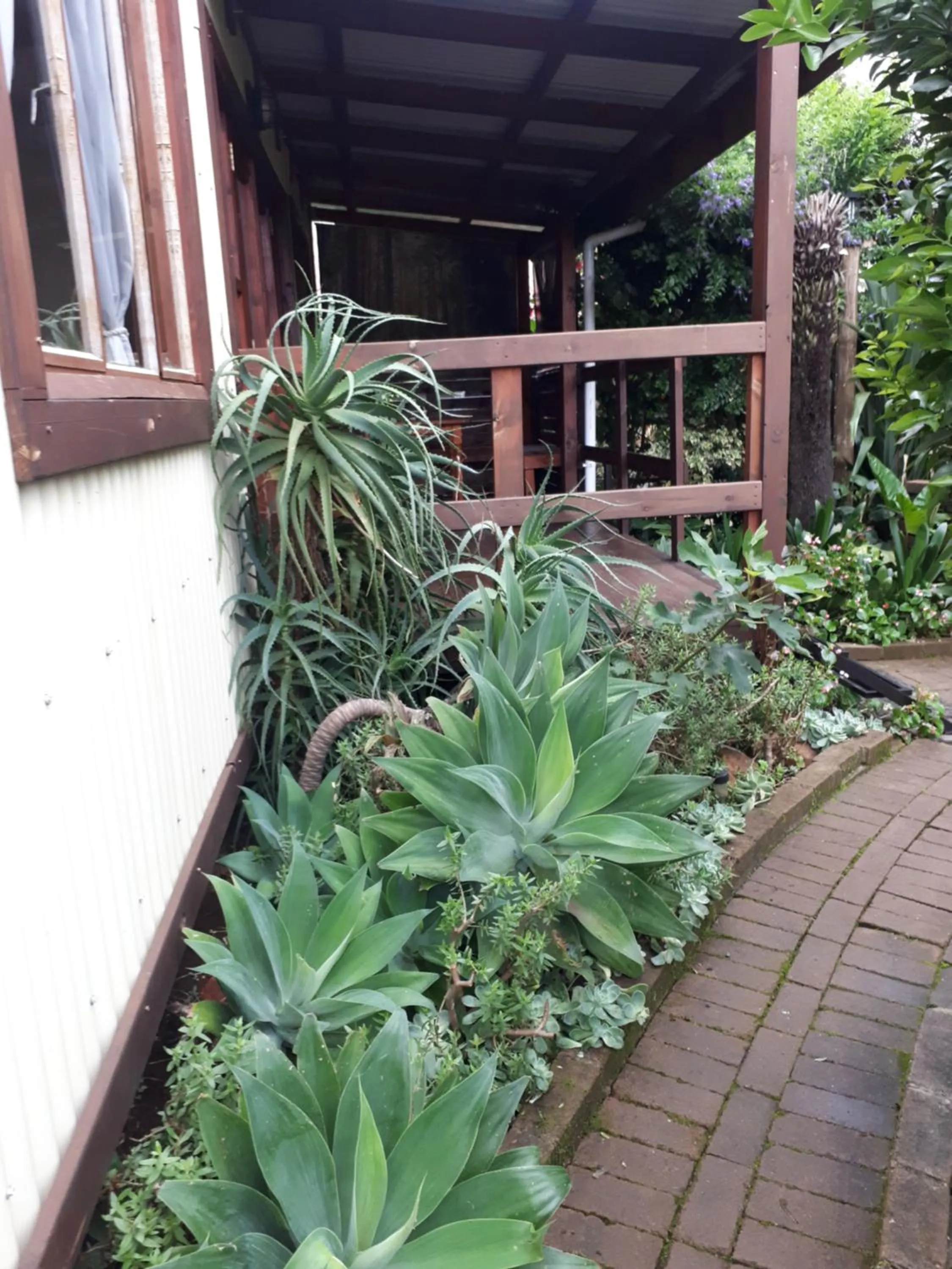 Garden view in Havana Nights