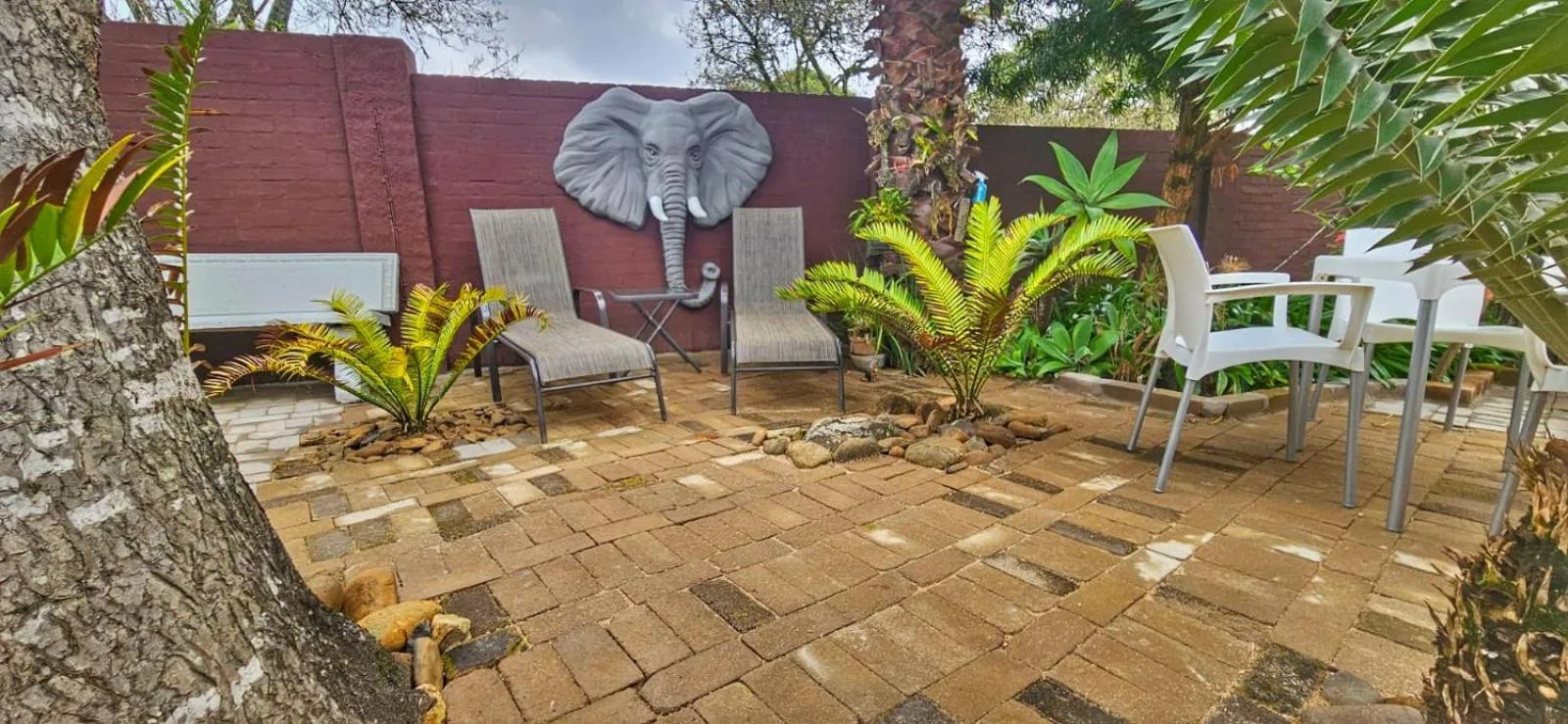 Garden view in Havana Nights