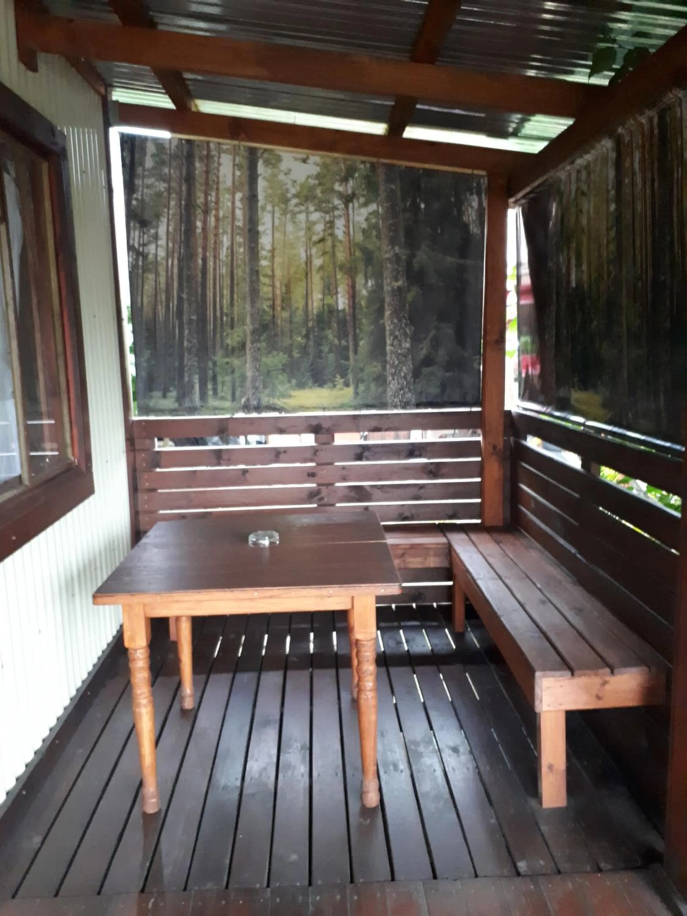 Patio in Havana Nights