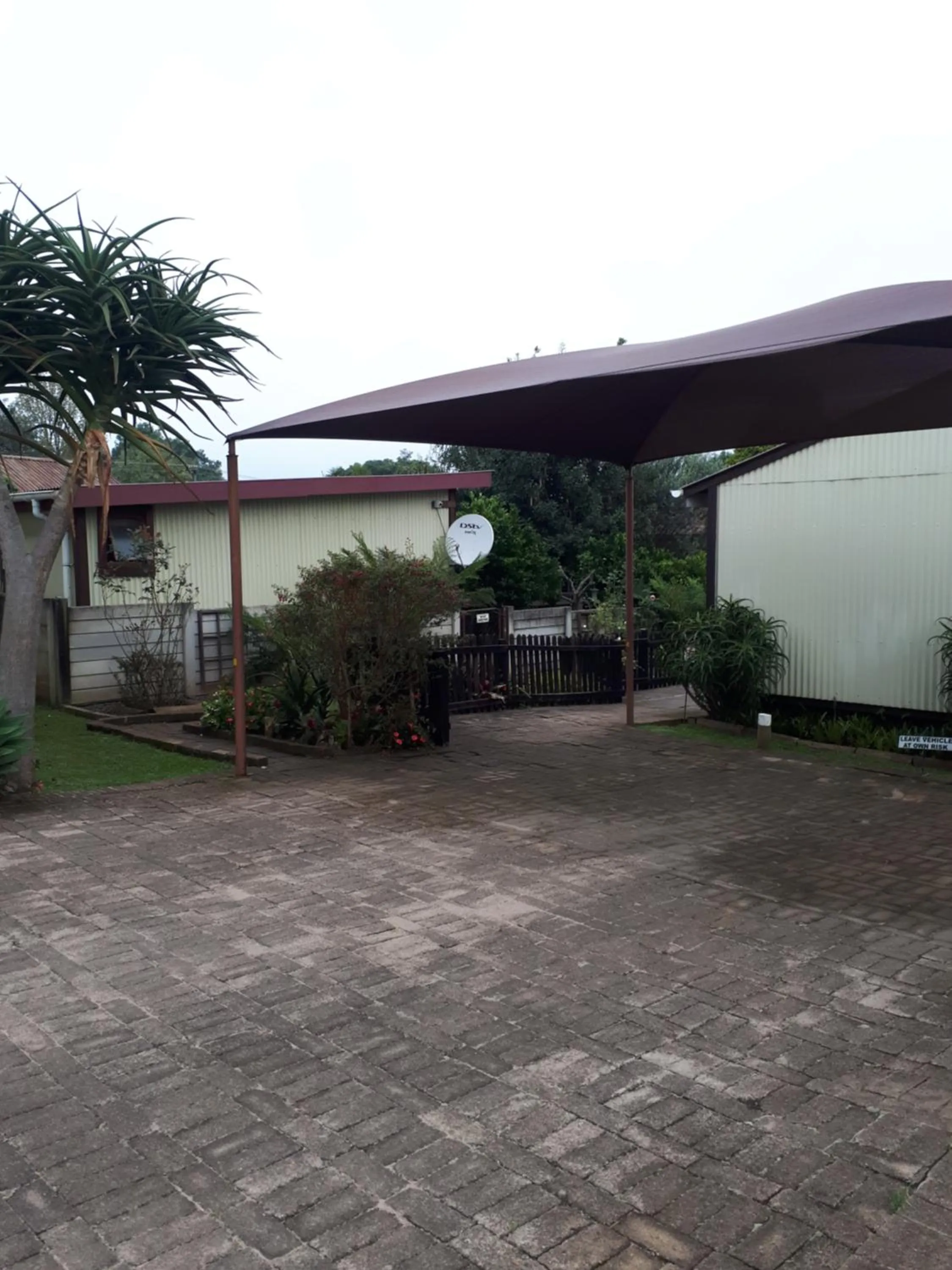 Parking in Havana Nights