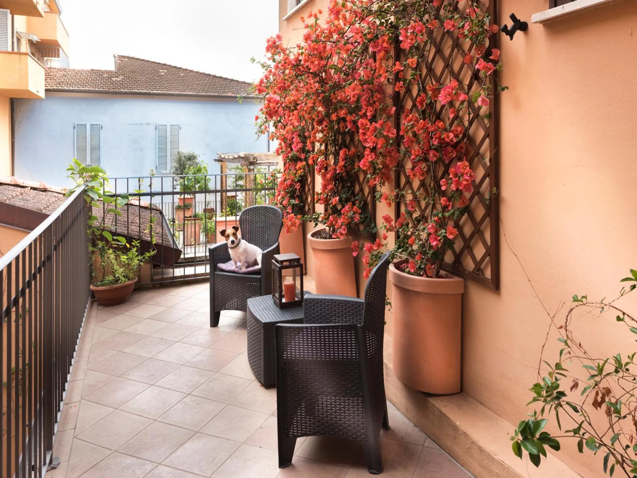 Balcony/Terrace in Hotel Palagi