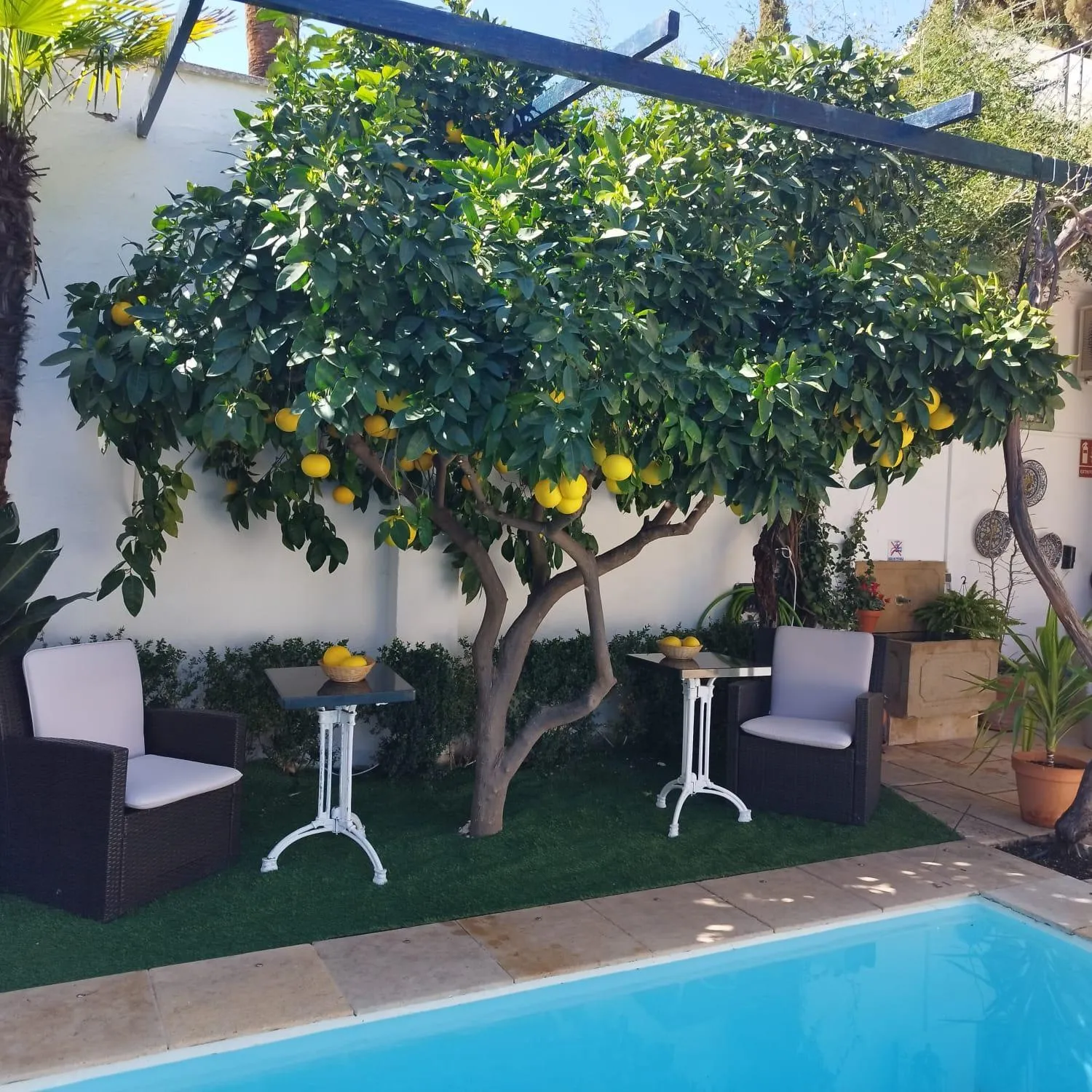 Garden in Suite Comares