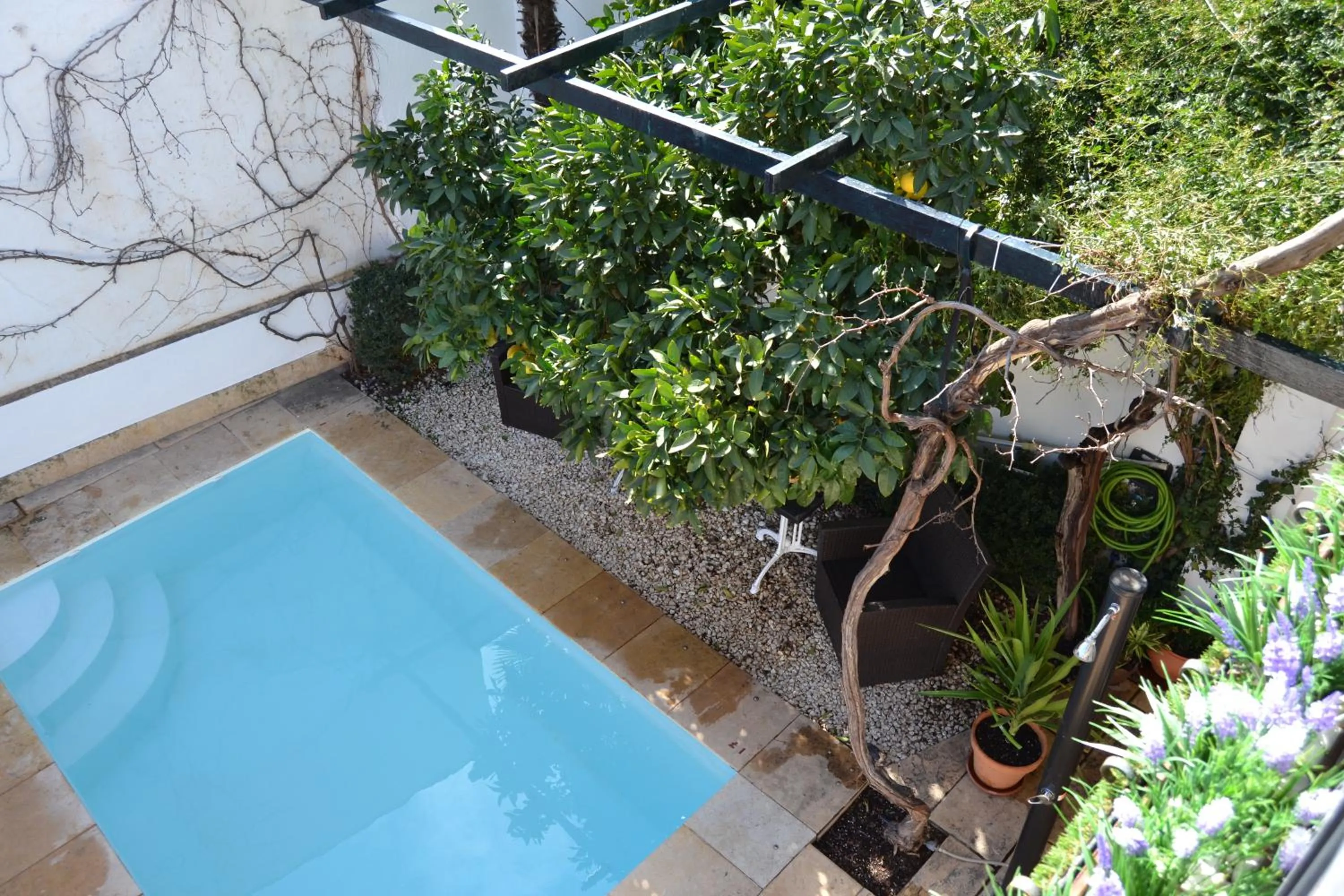 Garden in Suite Comares