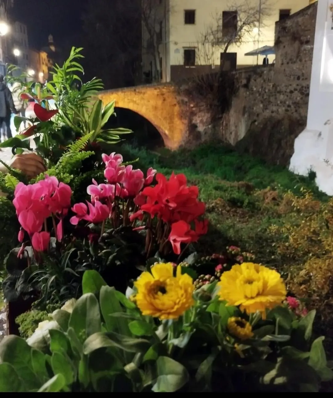 Night in Suite Comares