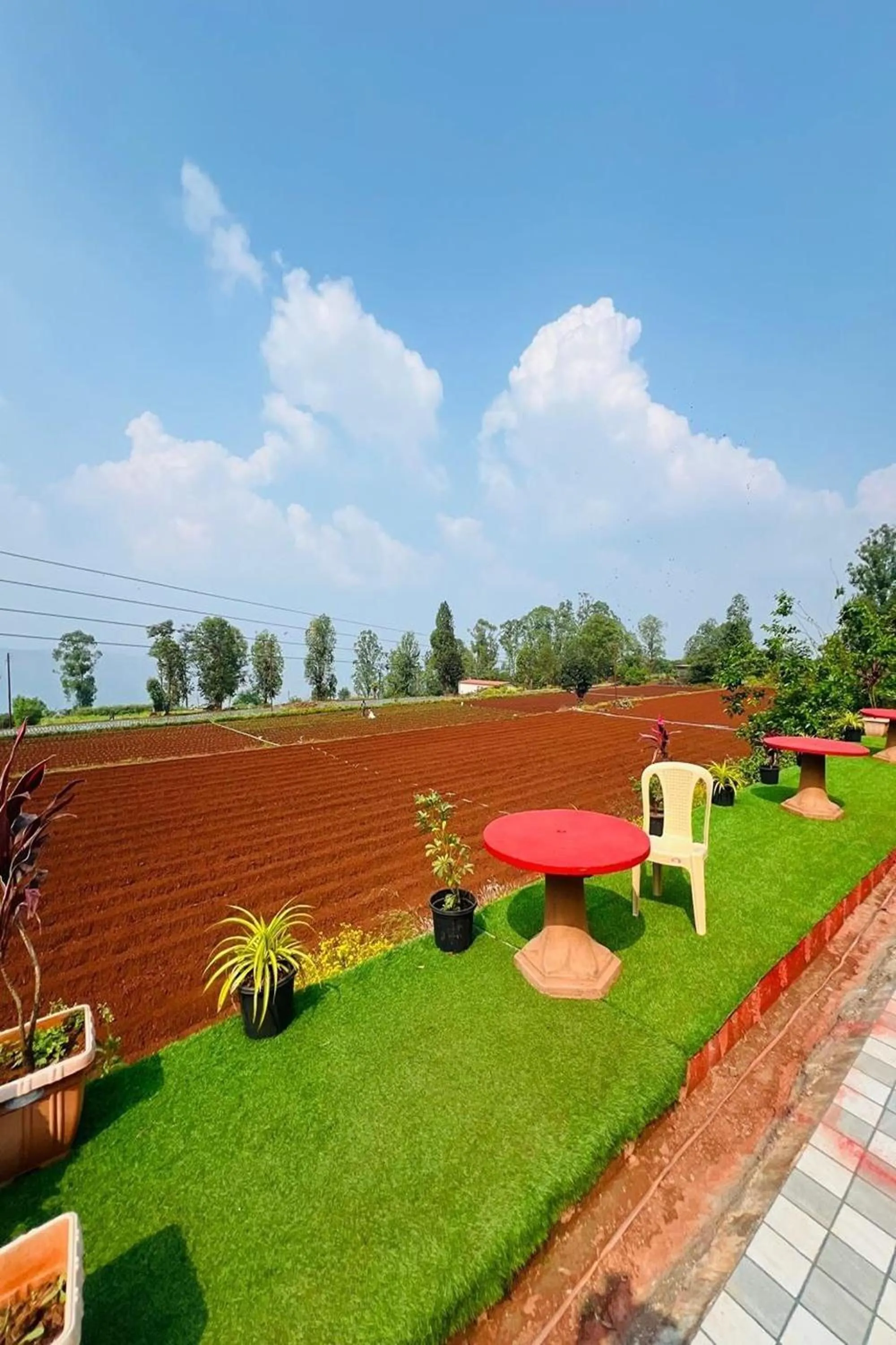 Garden in Greenland Stay