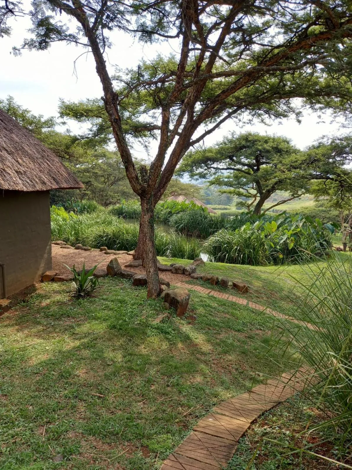 Garden in Ascot Bush Lodge
