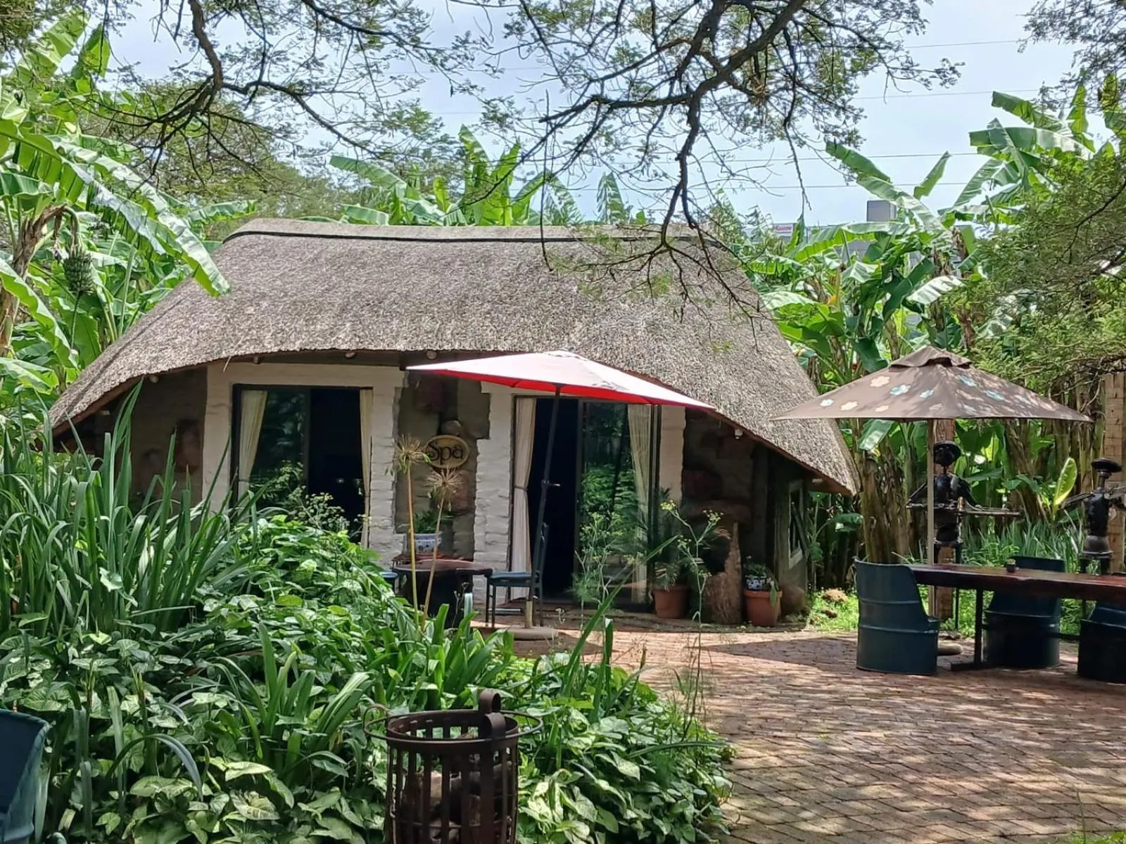 Garden in Ascot Bush Lodge