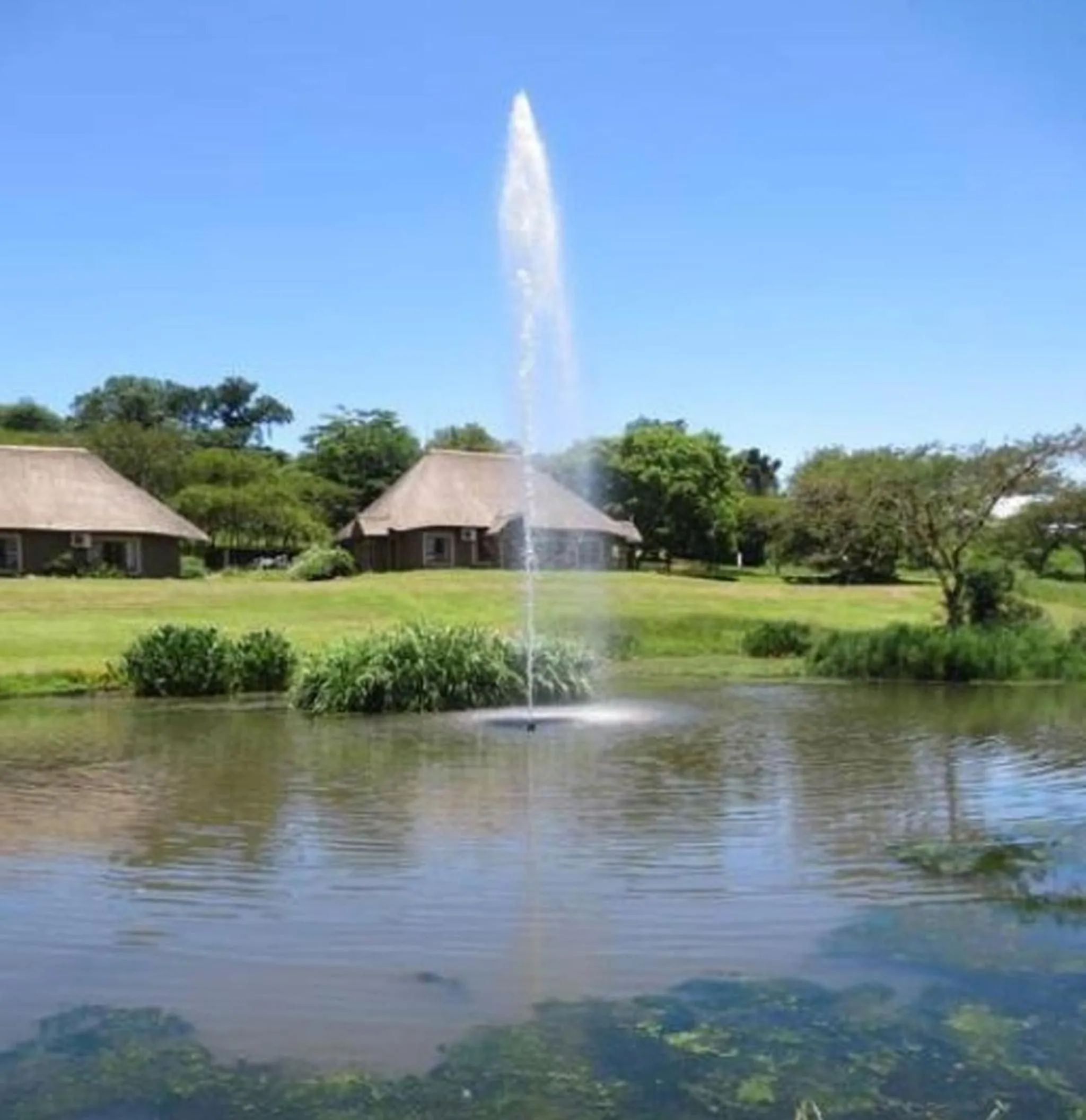 Garden in Ascot Bush Lodge