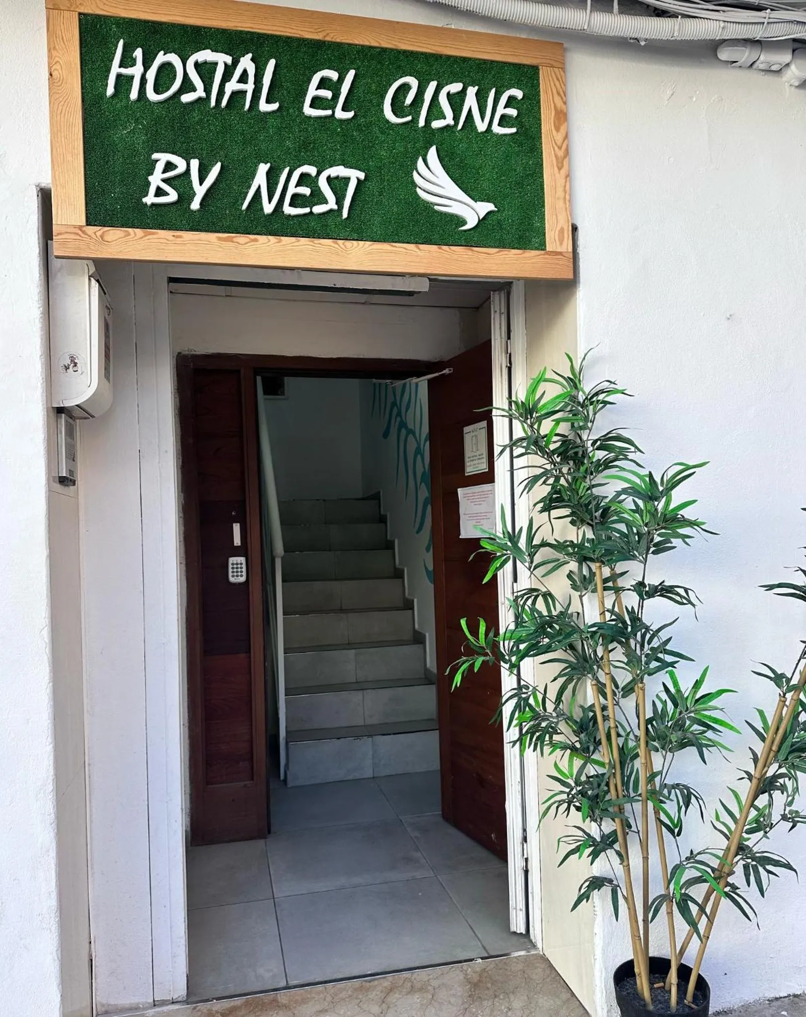 Cisne By Nest Hostel