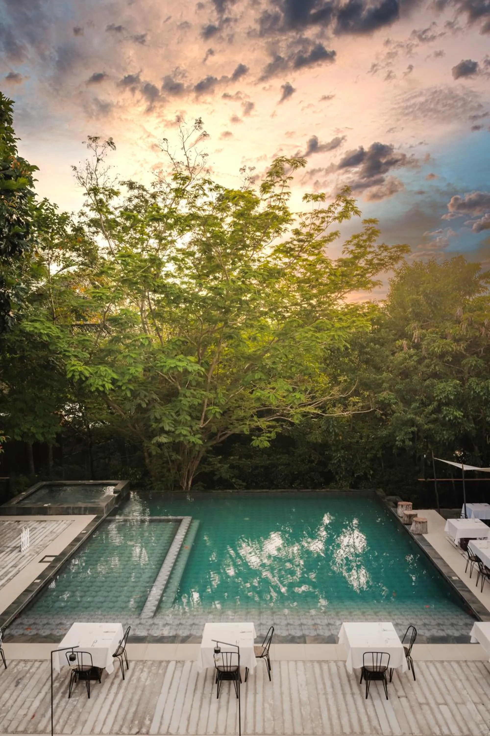 The Funny Lion - Coron