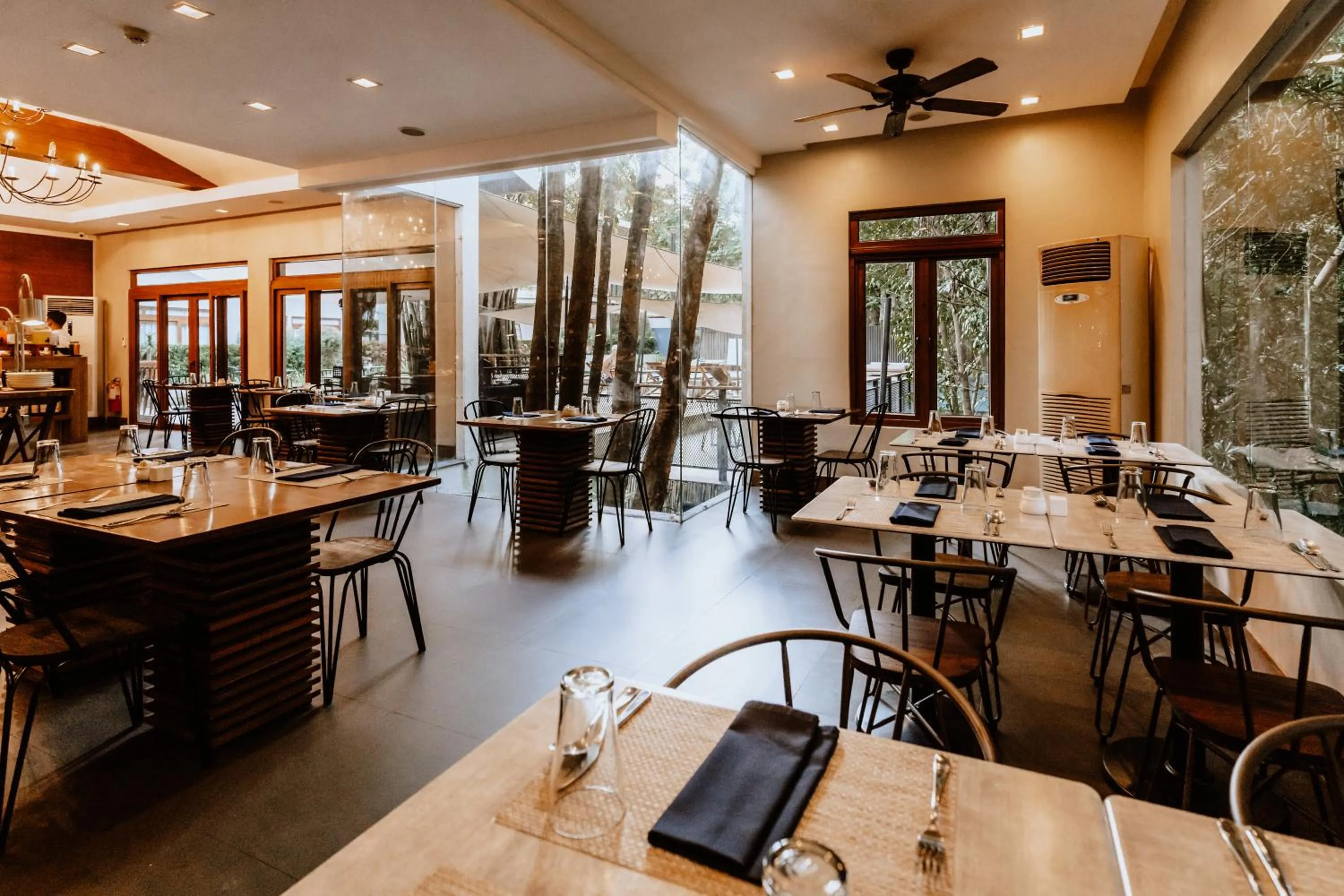 The Funny Lion - Coron