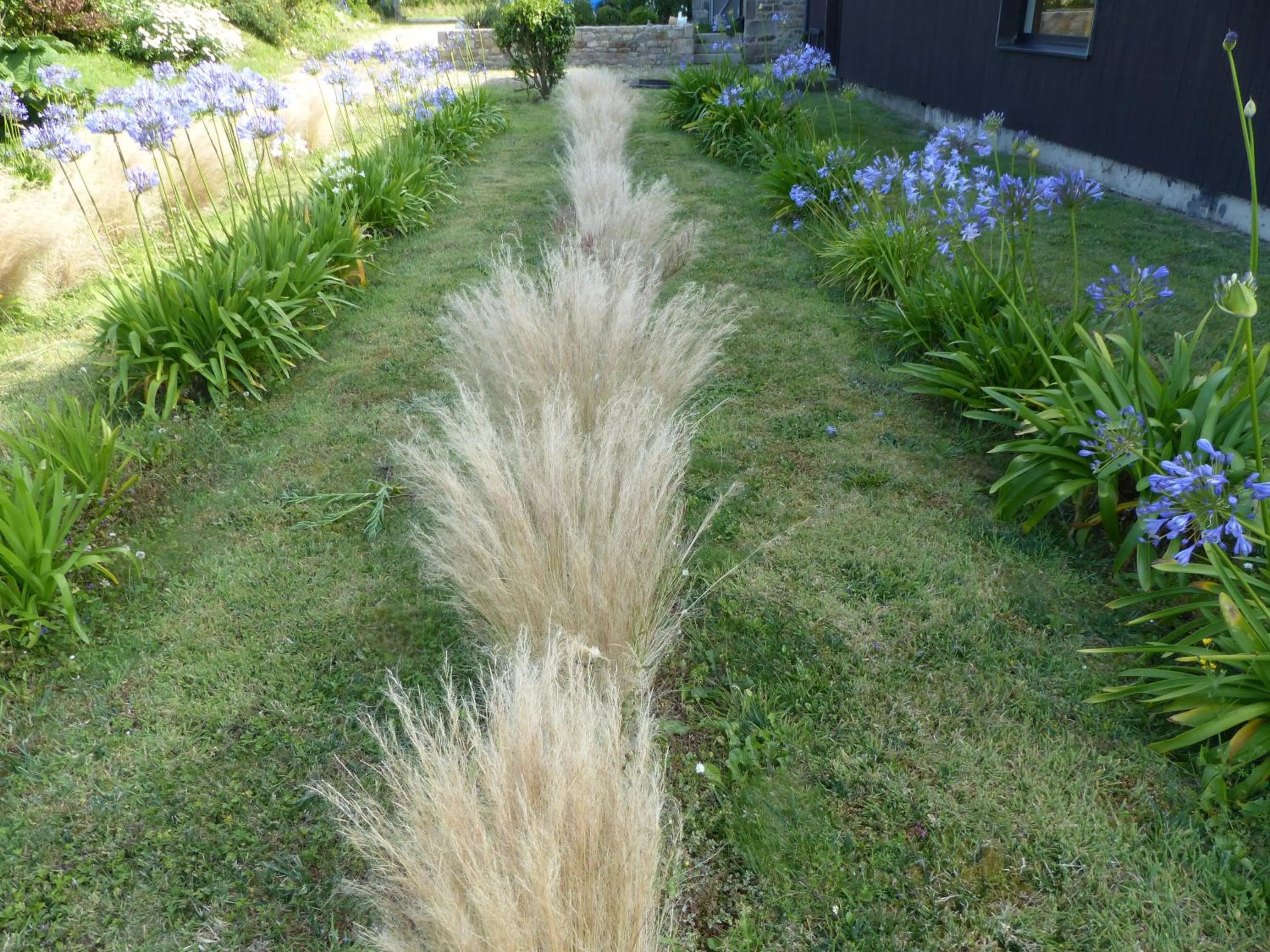 Garden in Les Chambres d'hôtes de Kérasquer