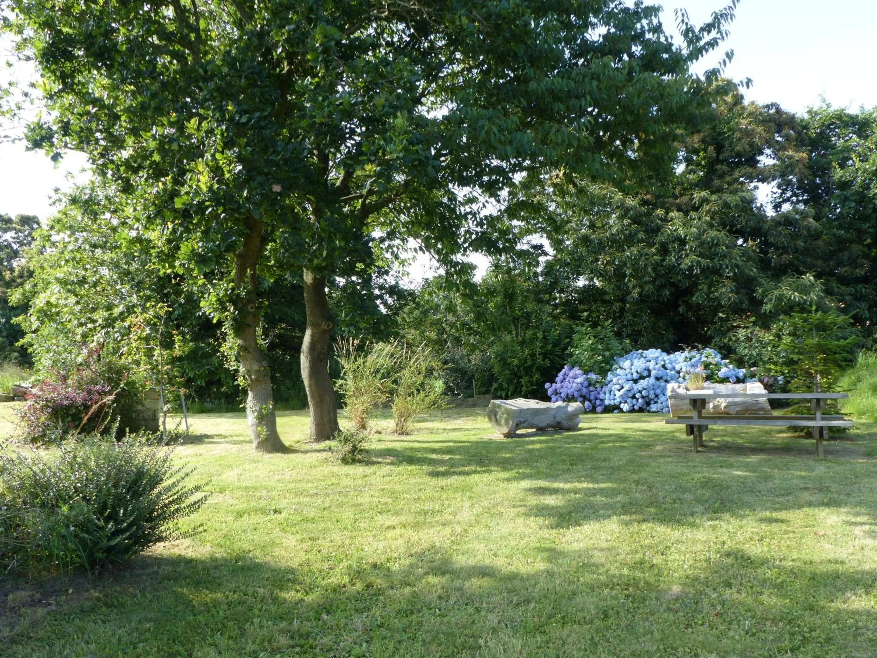 Garden in Les Chambres d'hôtes de Kérasquer