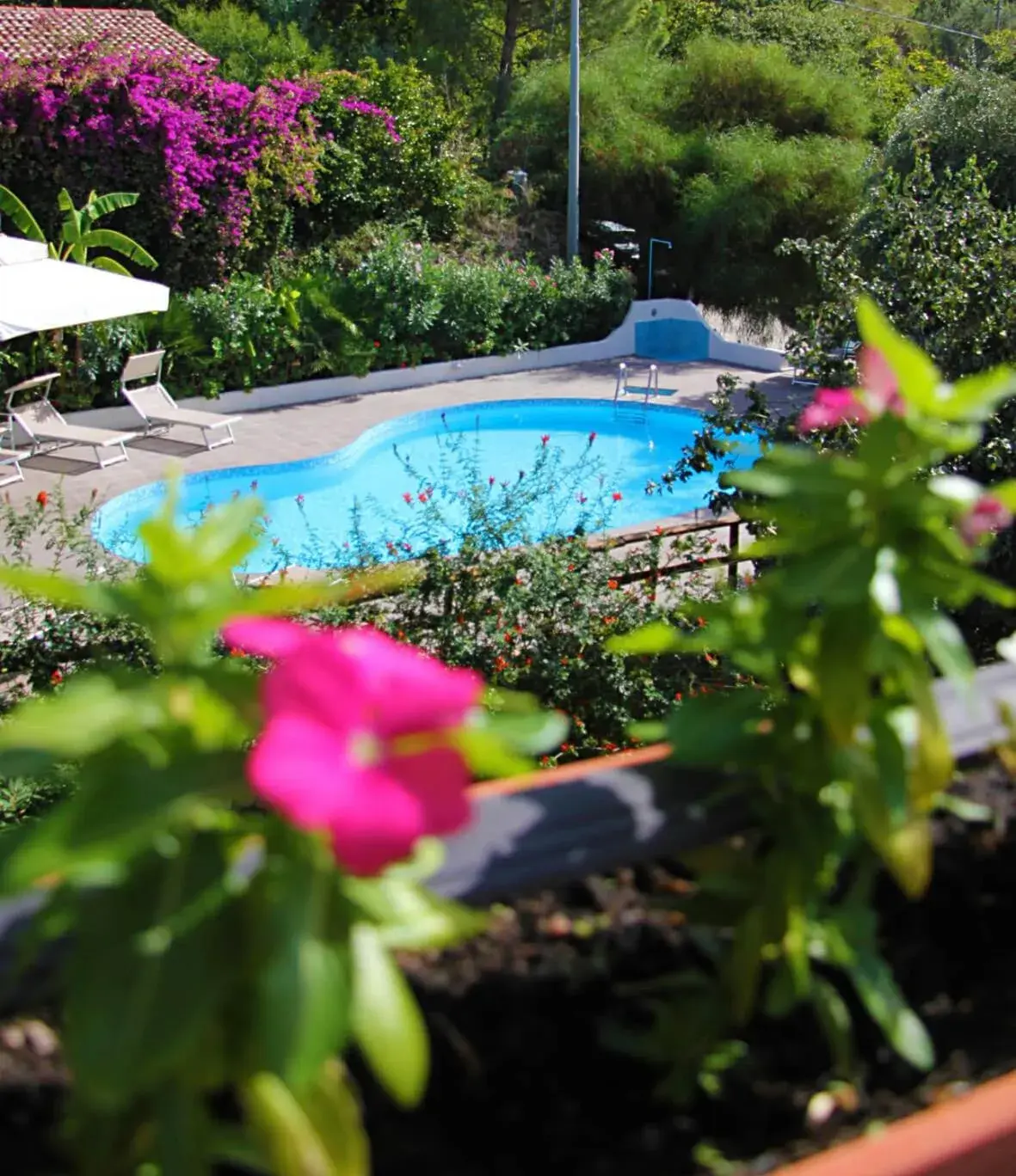 Double Room with Pool View in UNICO Cannamele Escape Tropea by Life Resorts Double Room with Pool View in UNICO Cannamele Escape Tropea by Life Resorts