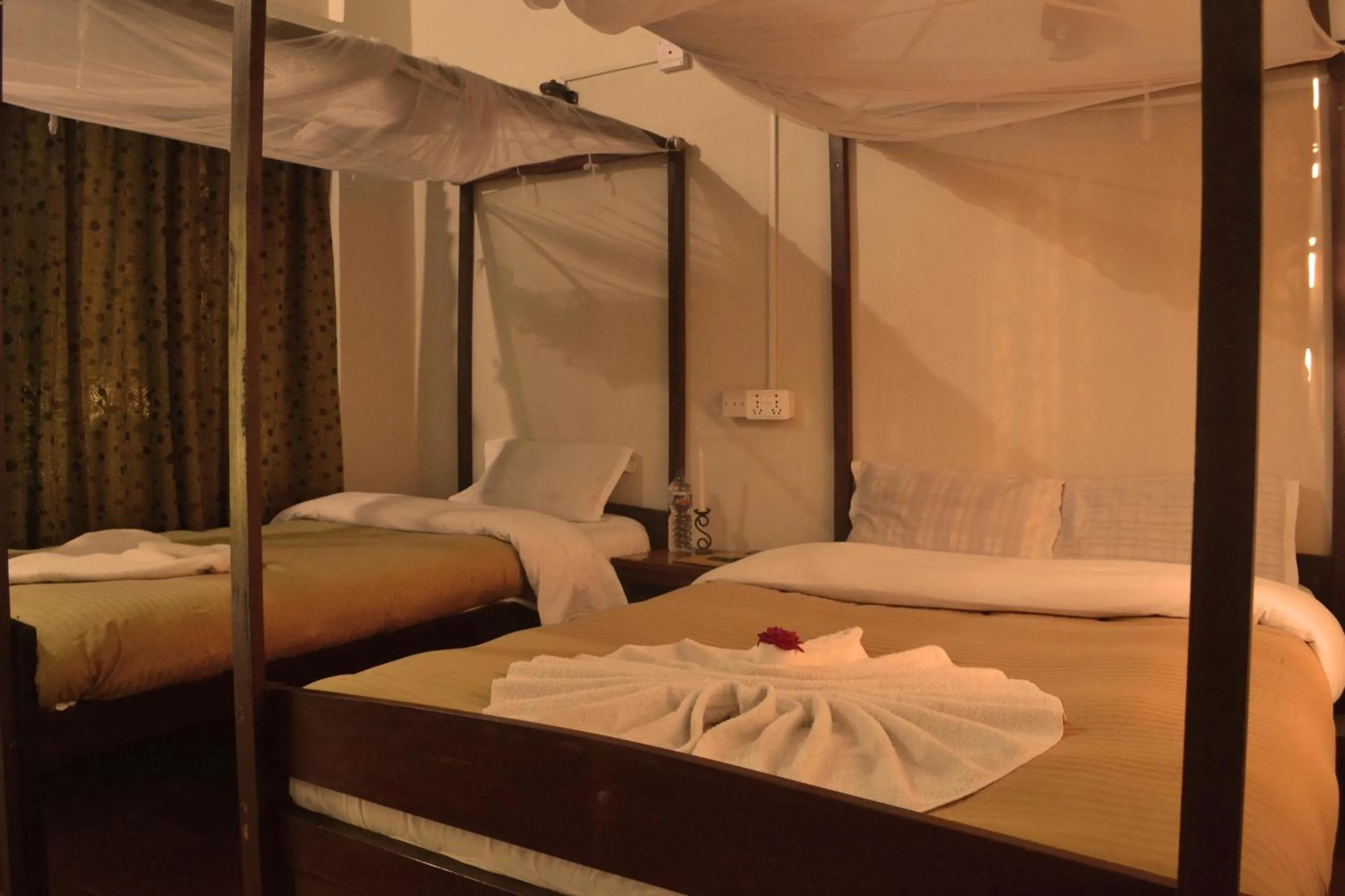 Bed in River View Jungle Camp