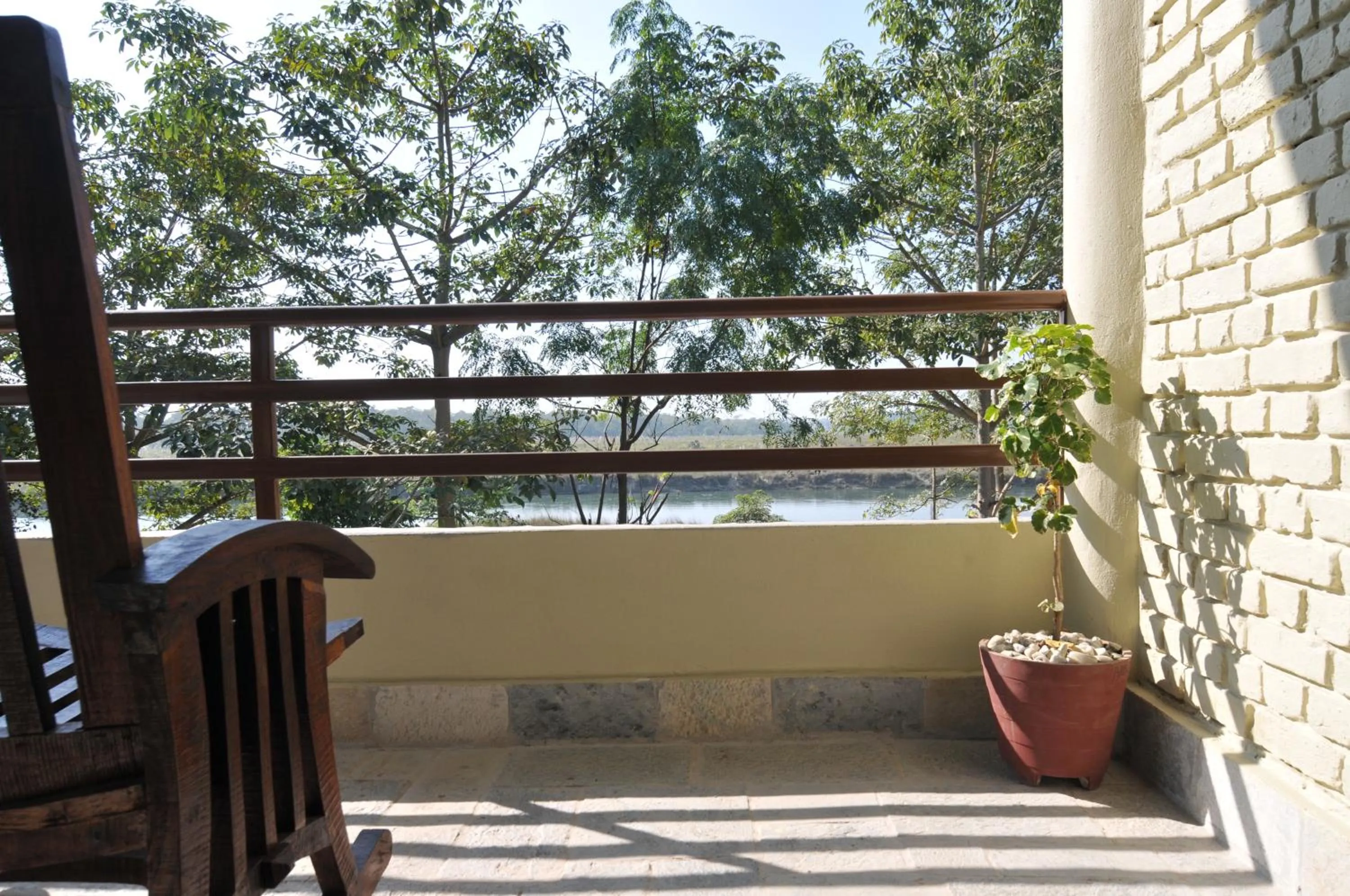 River view in River View Jungle Camp